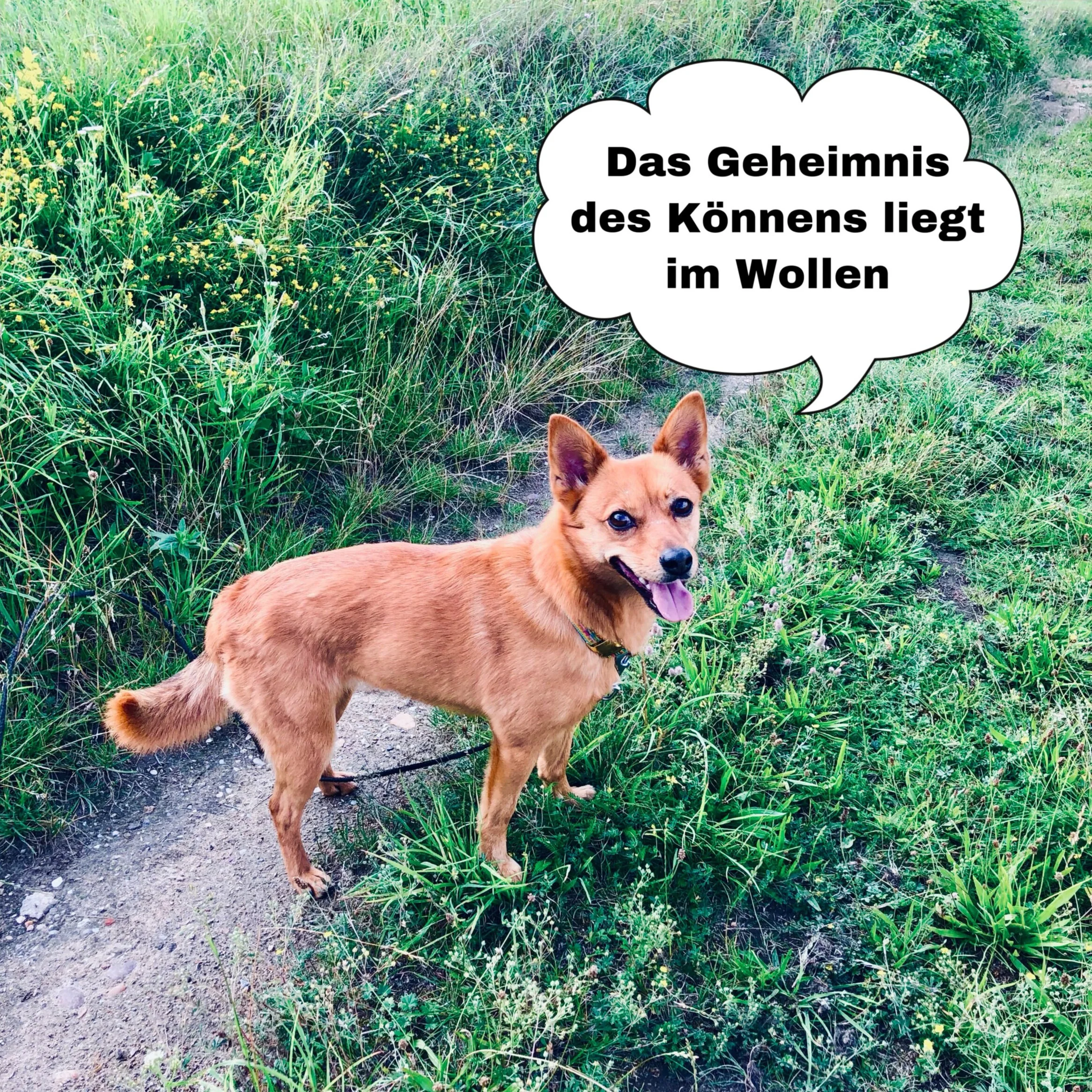 Stop Konzept - die ersten Vorlagen