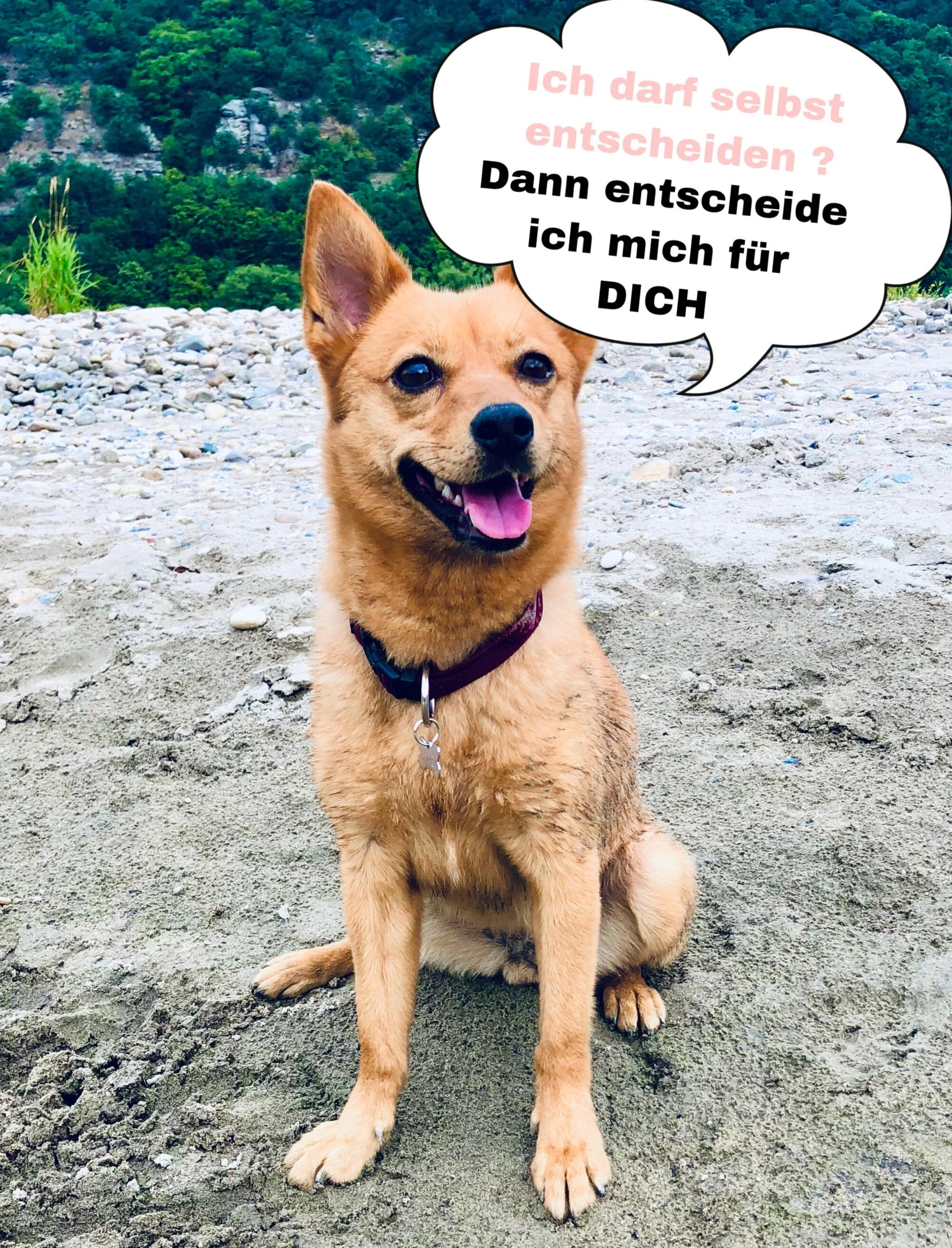      Das Stop Konzept - wie sich Führung komplett neu definiert