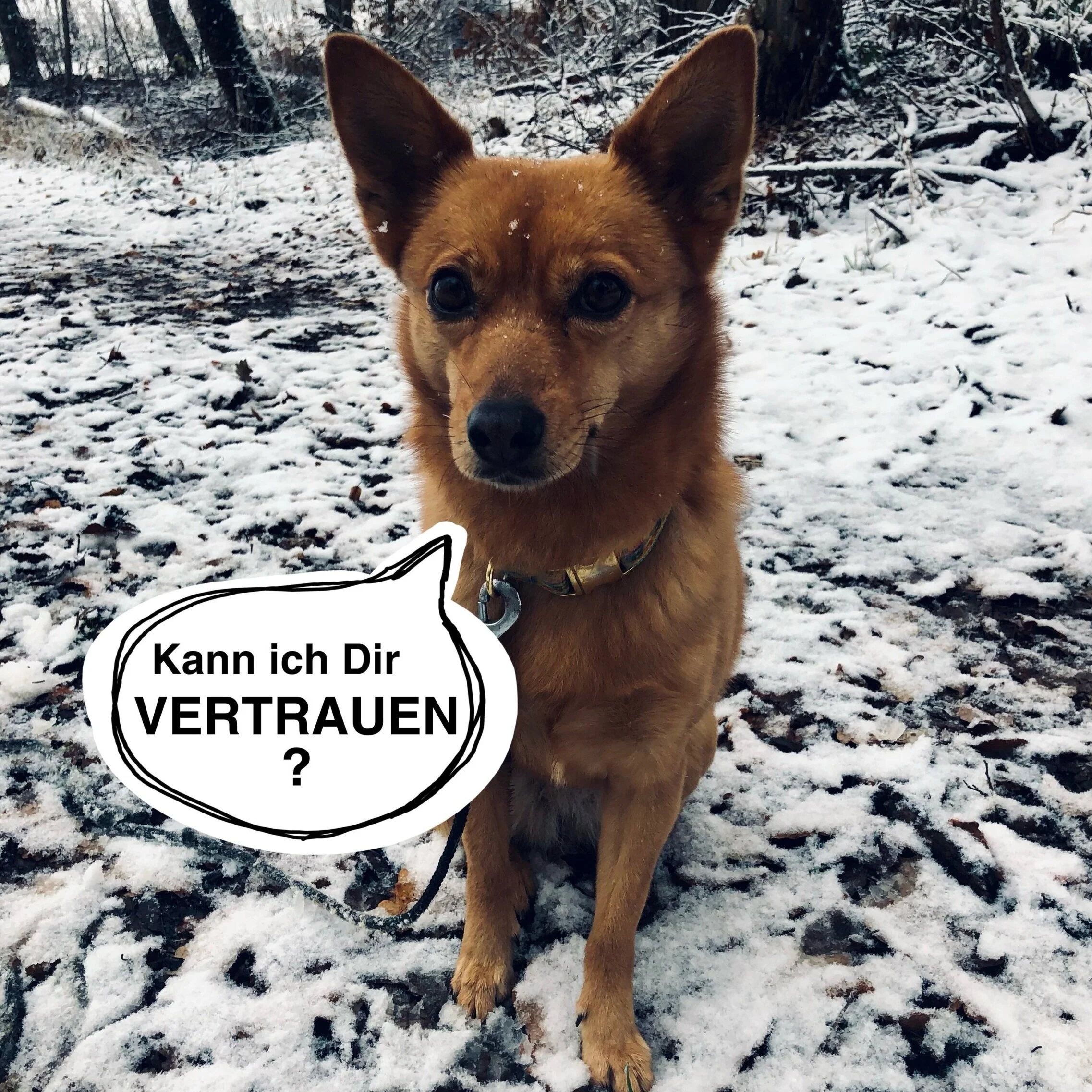Vertrauen - Grundstein der Führung