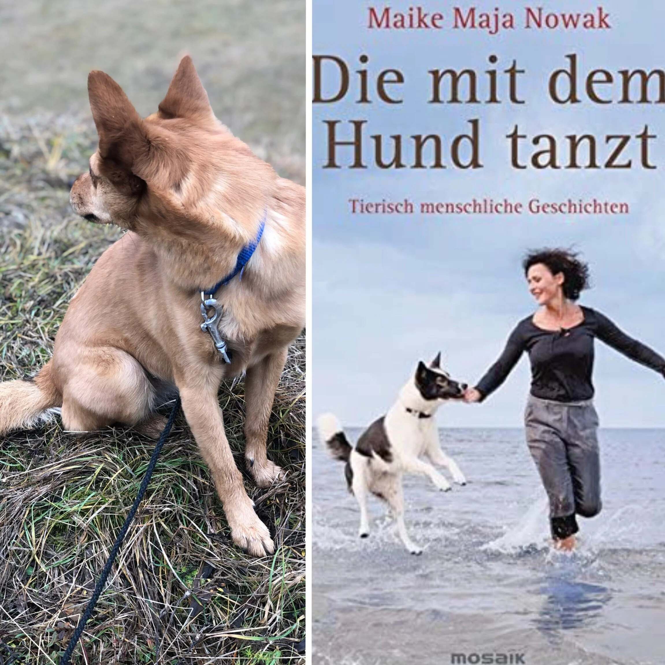 “Die mit dem Hund tanzt” 