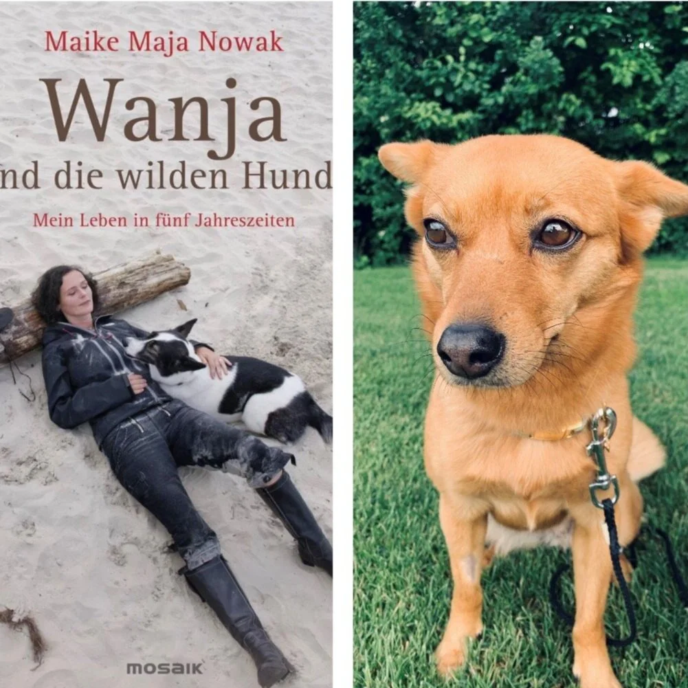 “Wanja und die wilden Hunde” - von Maike Maja Nowak: