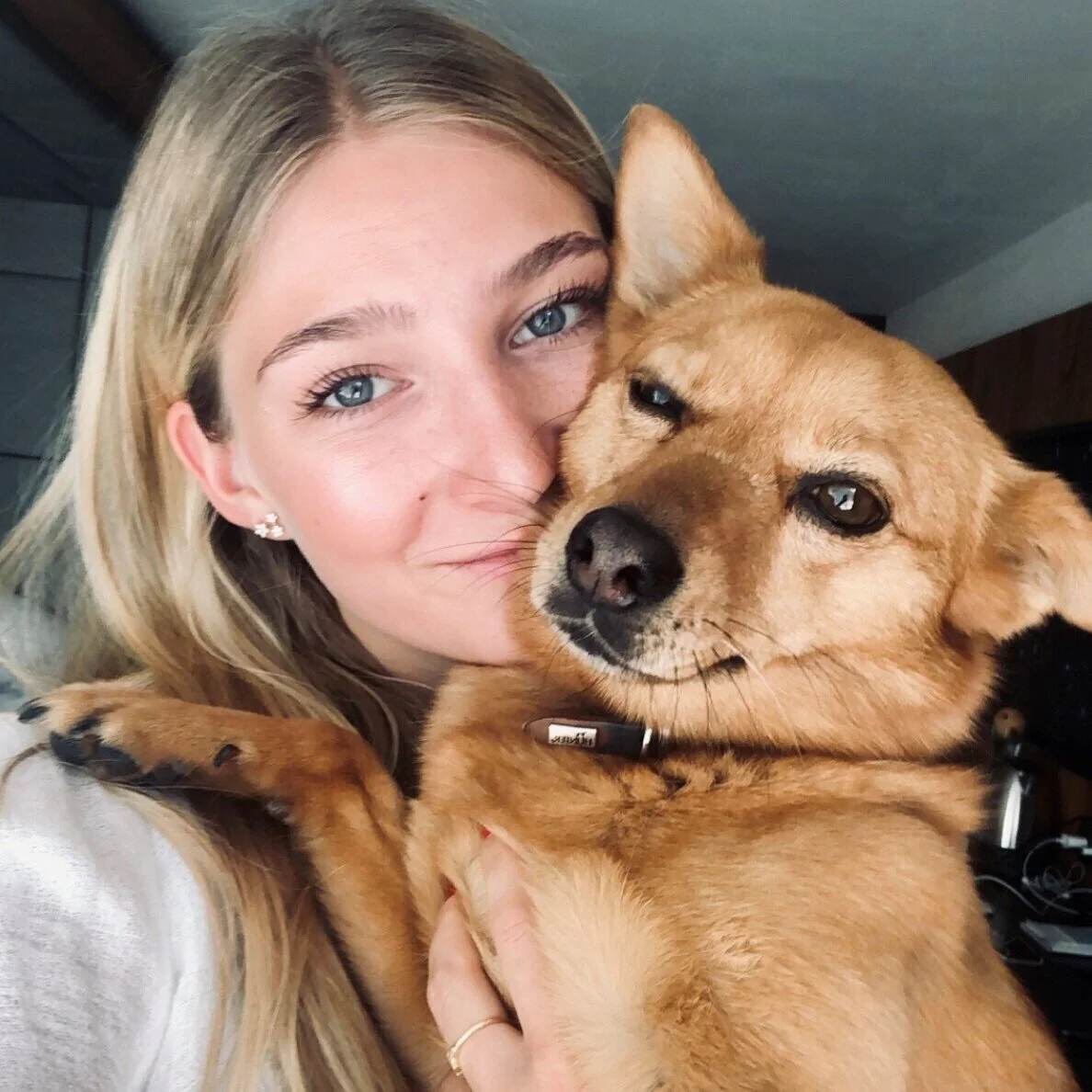Hunde - unsere Therapeuten