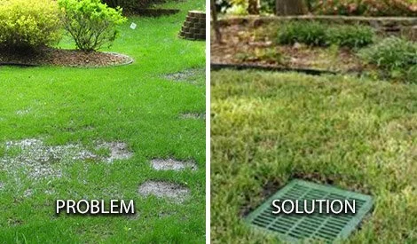 Backyard Drainage &amp; Stormwater Solutions in New Orleans
