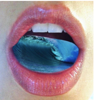 Journal de Bronze 1 - GROSSE ÉPIPHANIE