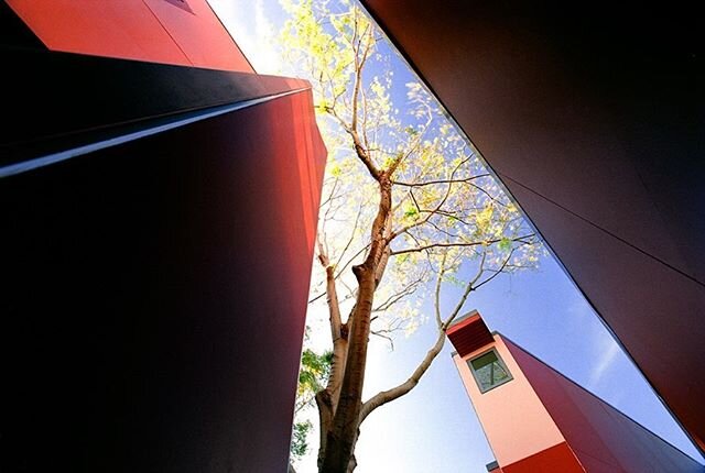 Details of the Paddington mixed use project - Architect @angelo_candas