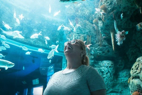 Reconnecting with pleasure and joy after trauma