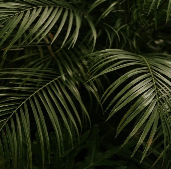 Photo 1.jpg
