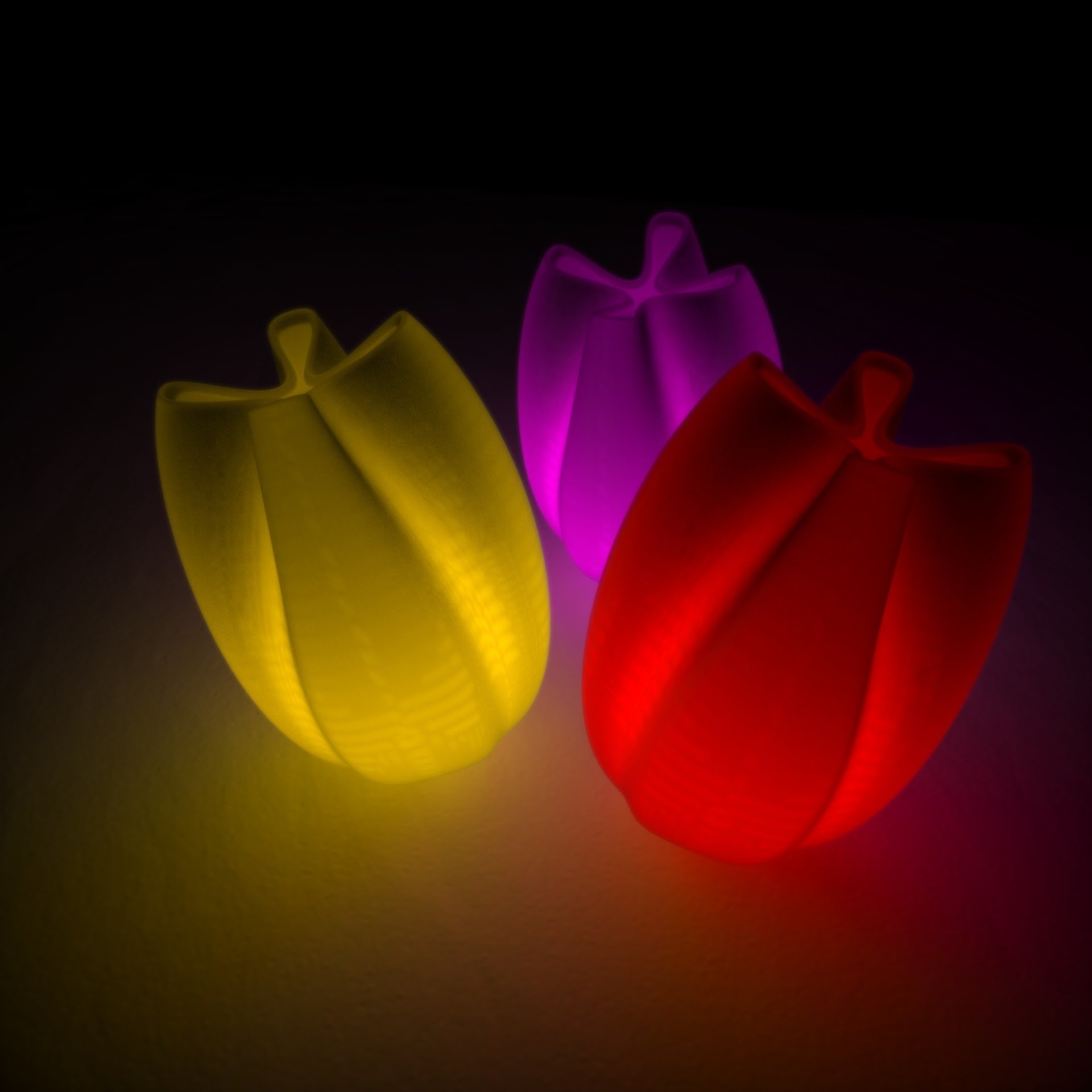 tulipe.107.jpg