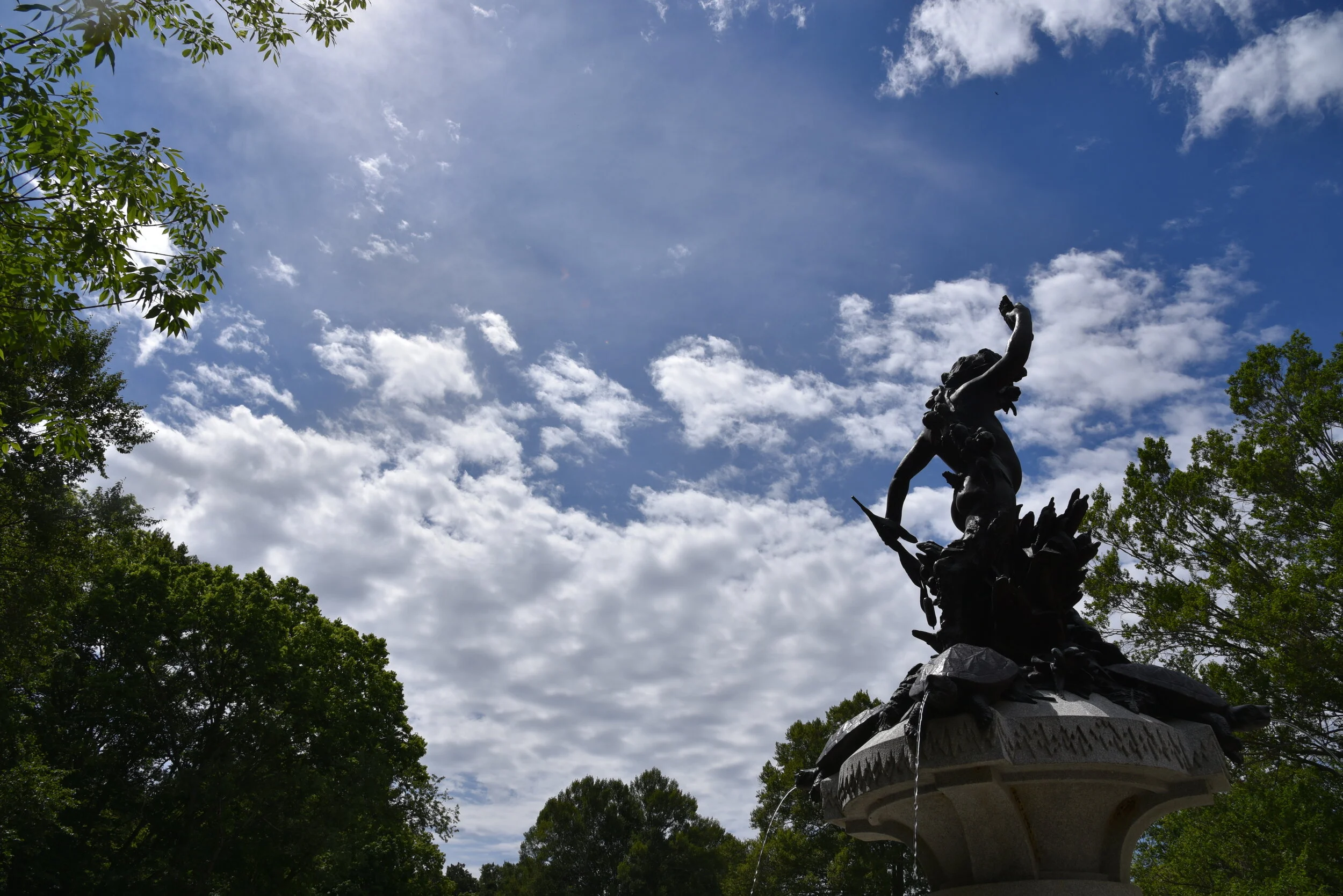 DSC_0655.JPG
