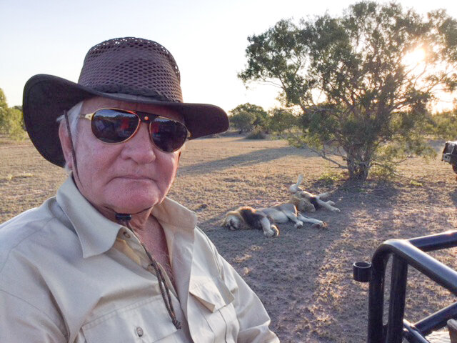  South African safari—sleeping lions like quiet creditors. 