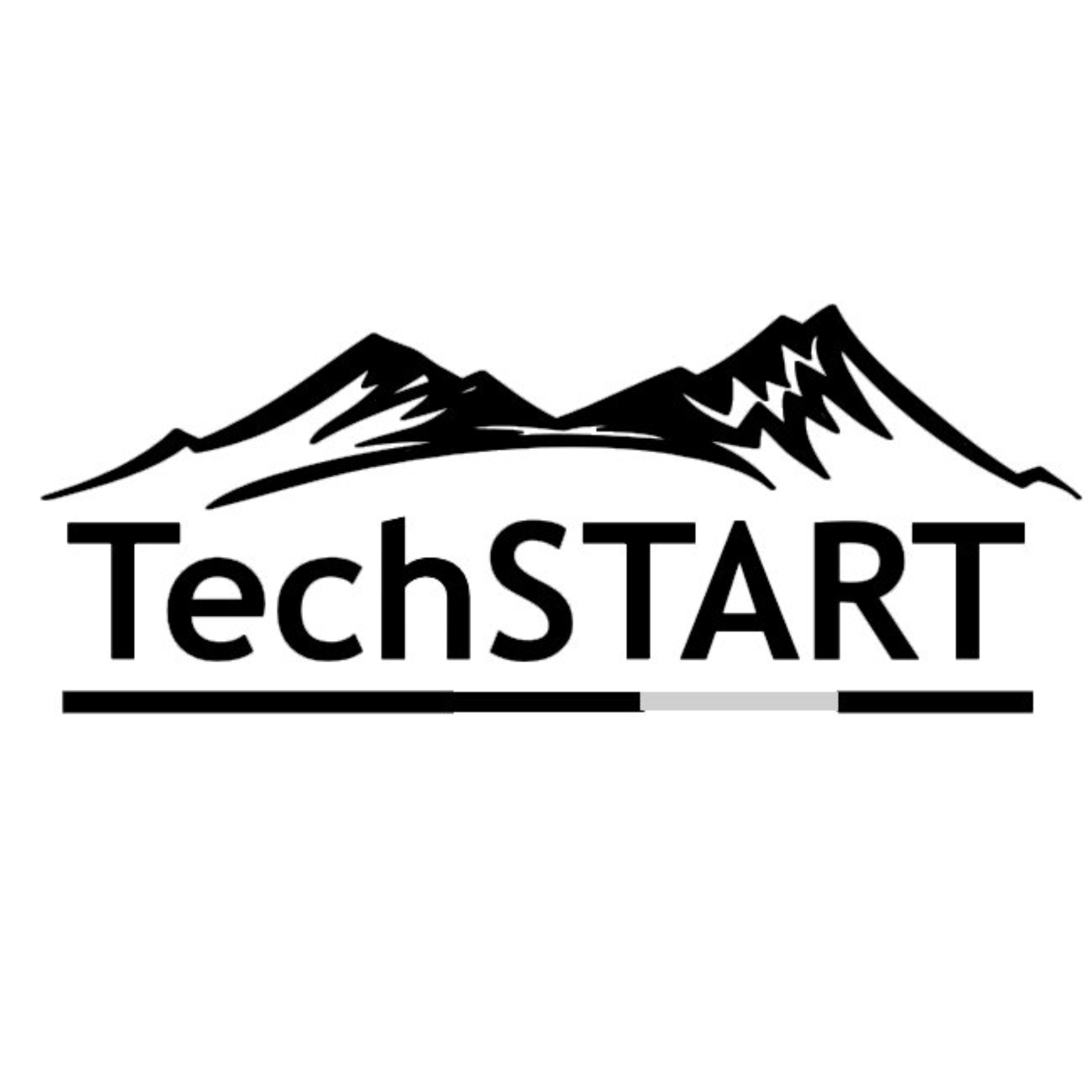 Techstart logo.png