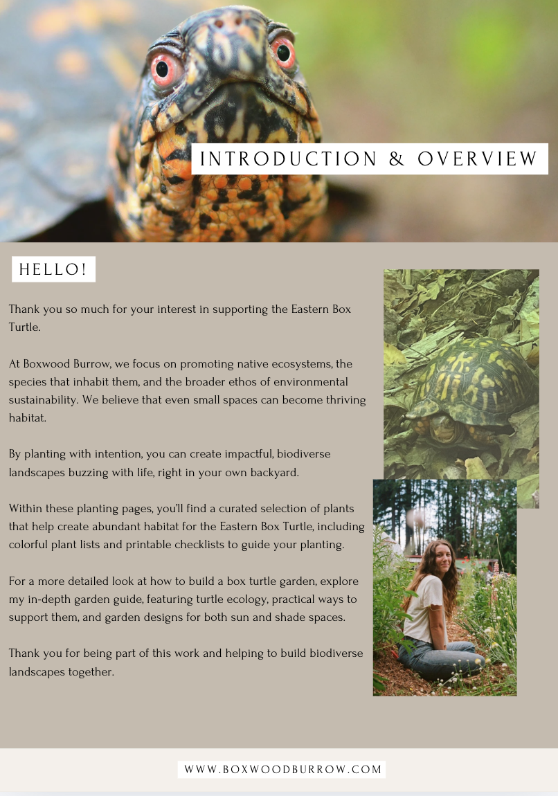 Screenshot 2026-03-25 at 5.48.47 PM.png