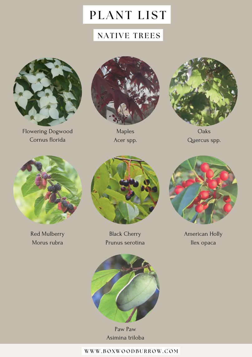 Screenshot 2026-03-25 at 5.48.57 PM.png