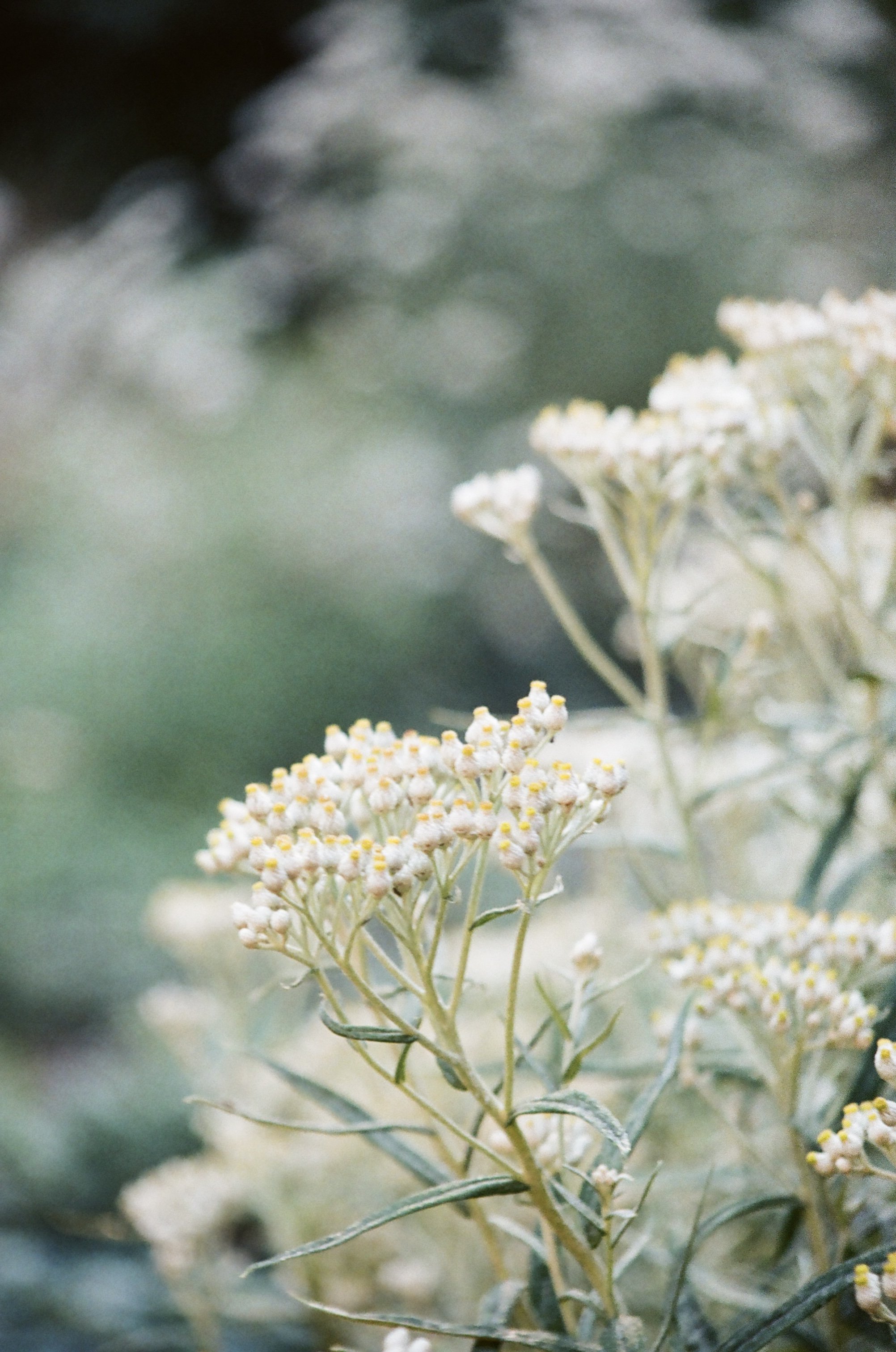 0029_7A.jpg
