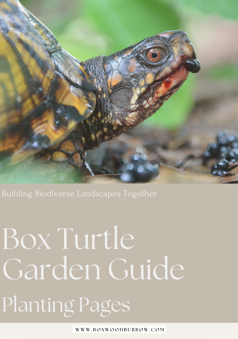 Screenshot 2026-03-25 at 5.48.35 PM.png