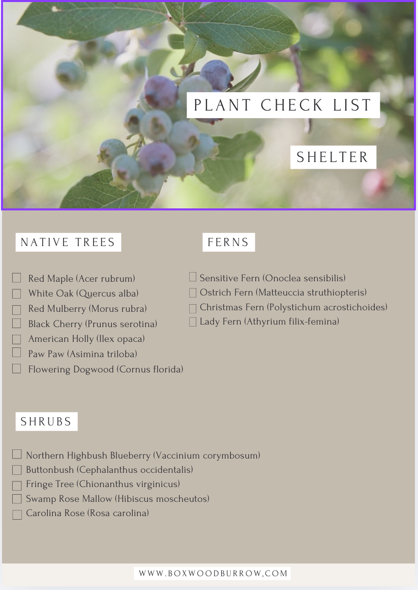 Screenshot 2026-03-25 at 5.49.07 PM.png