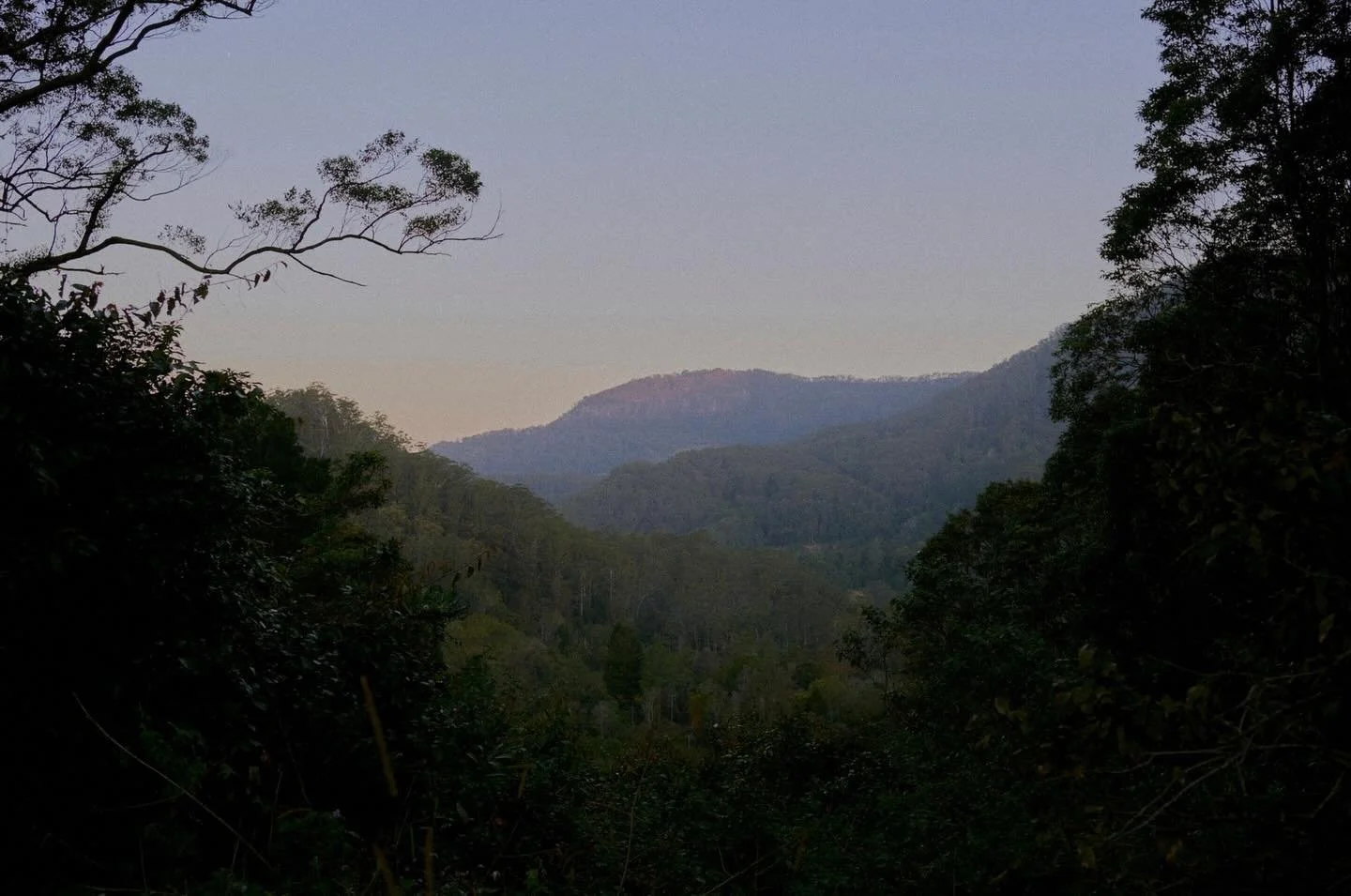 Byron hinterland at sunset ✨