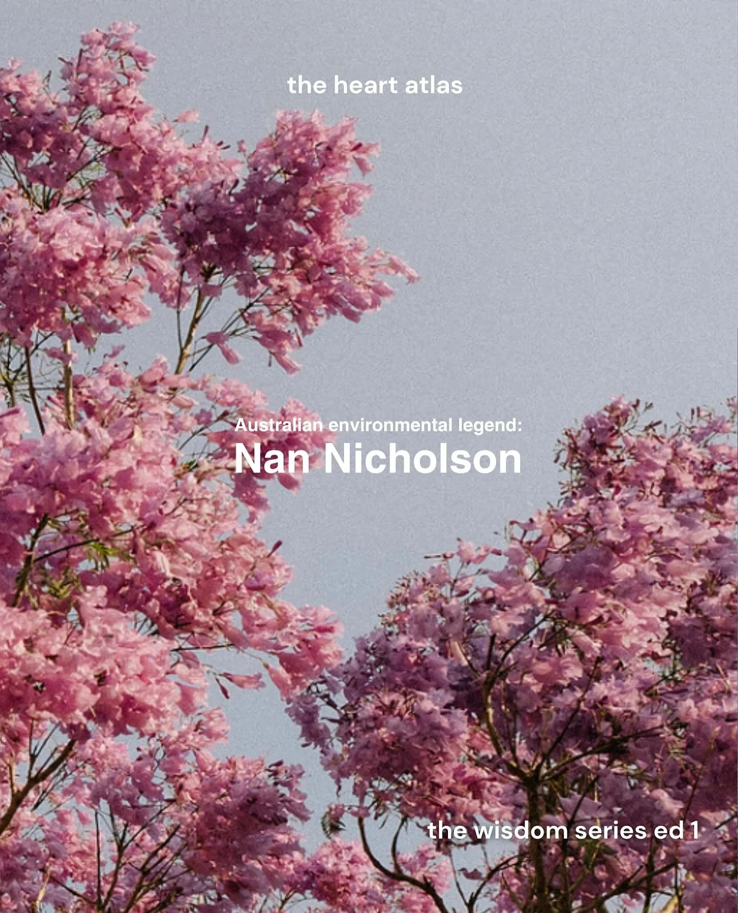 Words of Wisdom from Nan Nicholson | I first met Nan Nicholson while we were both doing advocacy for the Northern Rivers communities after the catastrophic floods in 2022. I was a bit star-struck as I found myself sitting next to her in a meeting wit