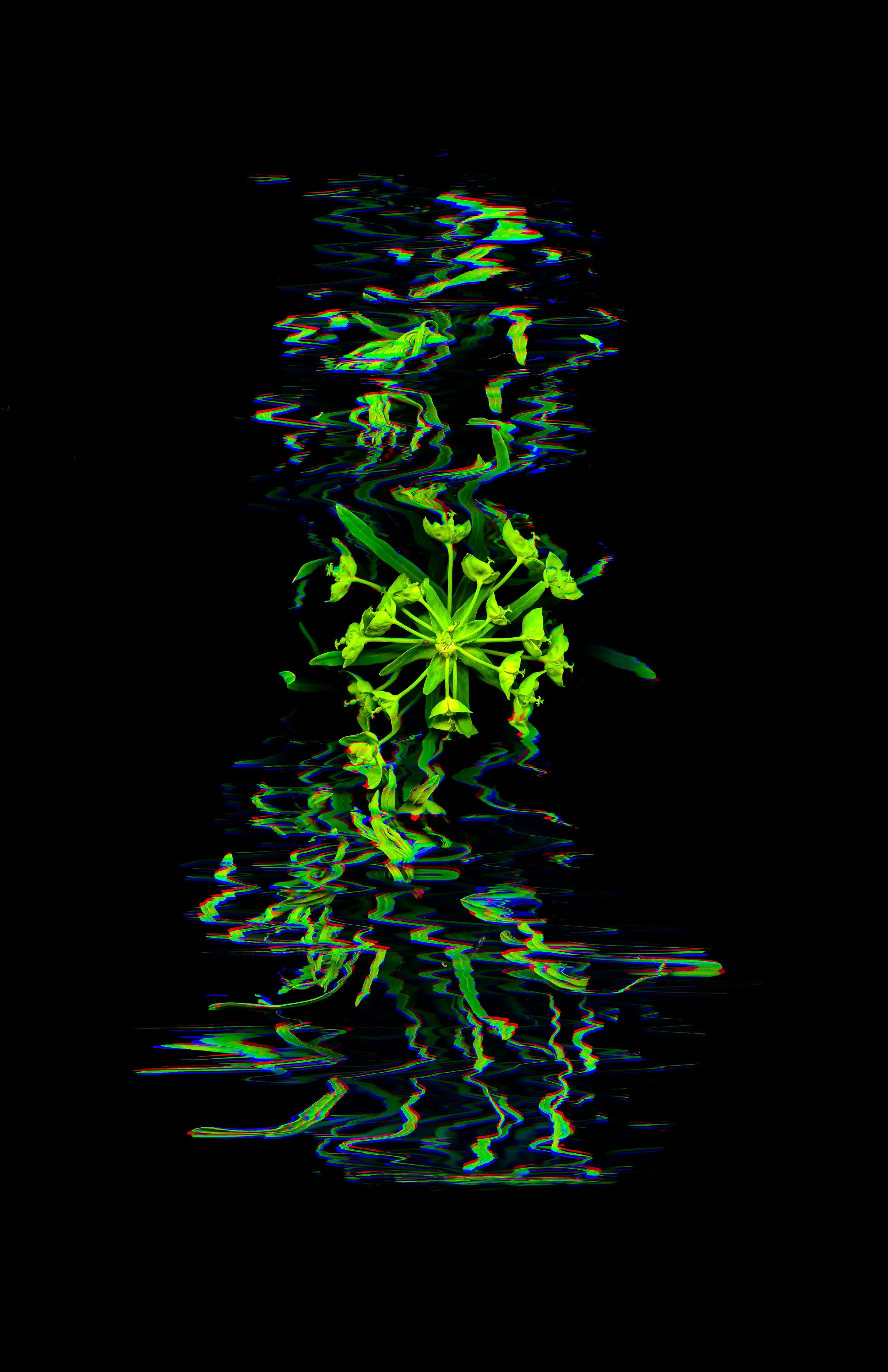 Nervous3_Metallic Inkjet Print_11x17_2024_Nathan_Fiske.jpg