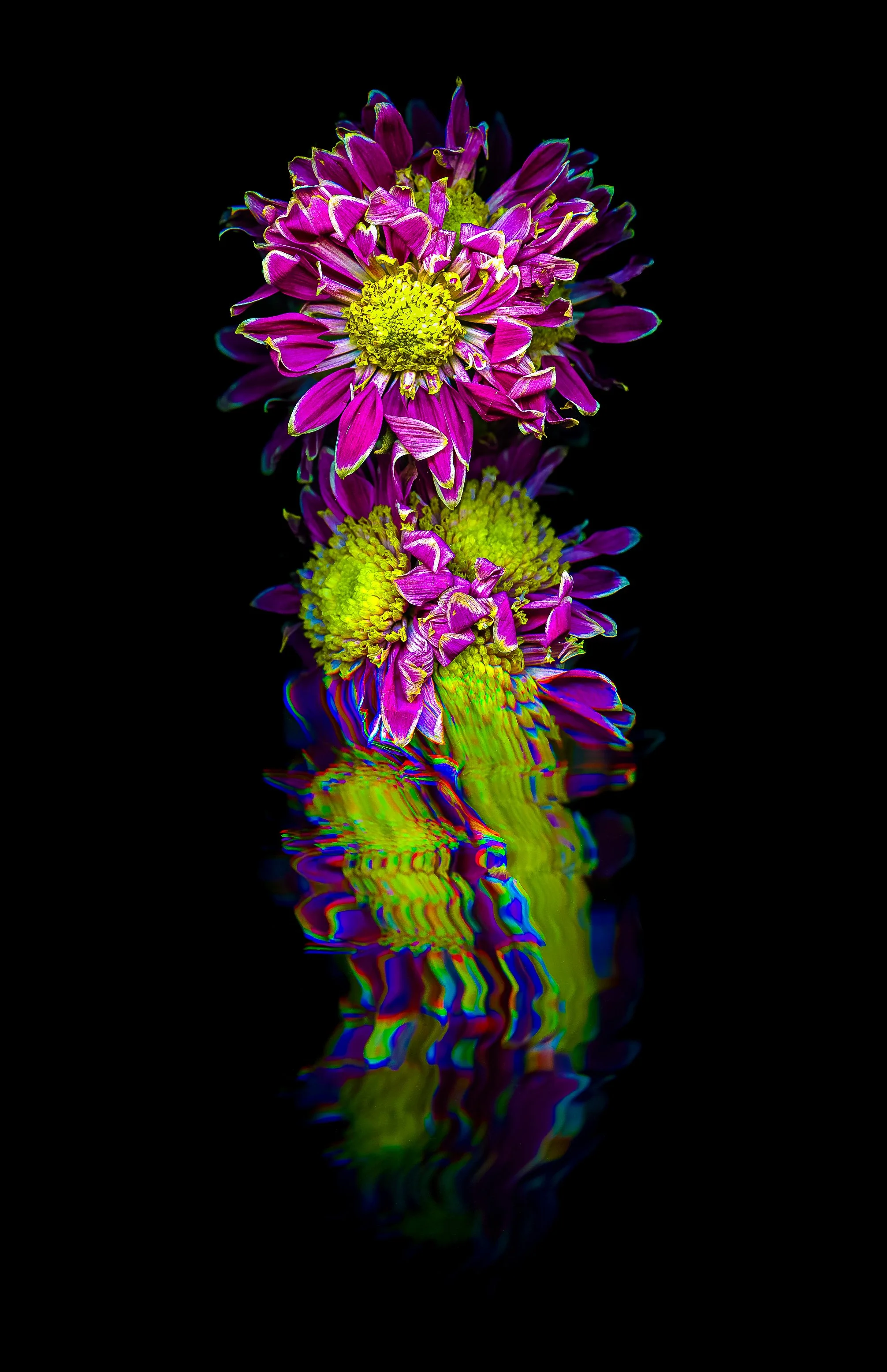 Growth_Metallic Inkjet Print_11x17_2024_Nathan_Fiske.jpg