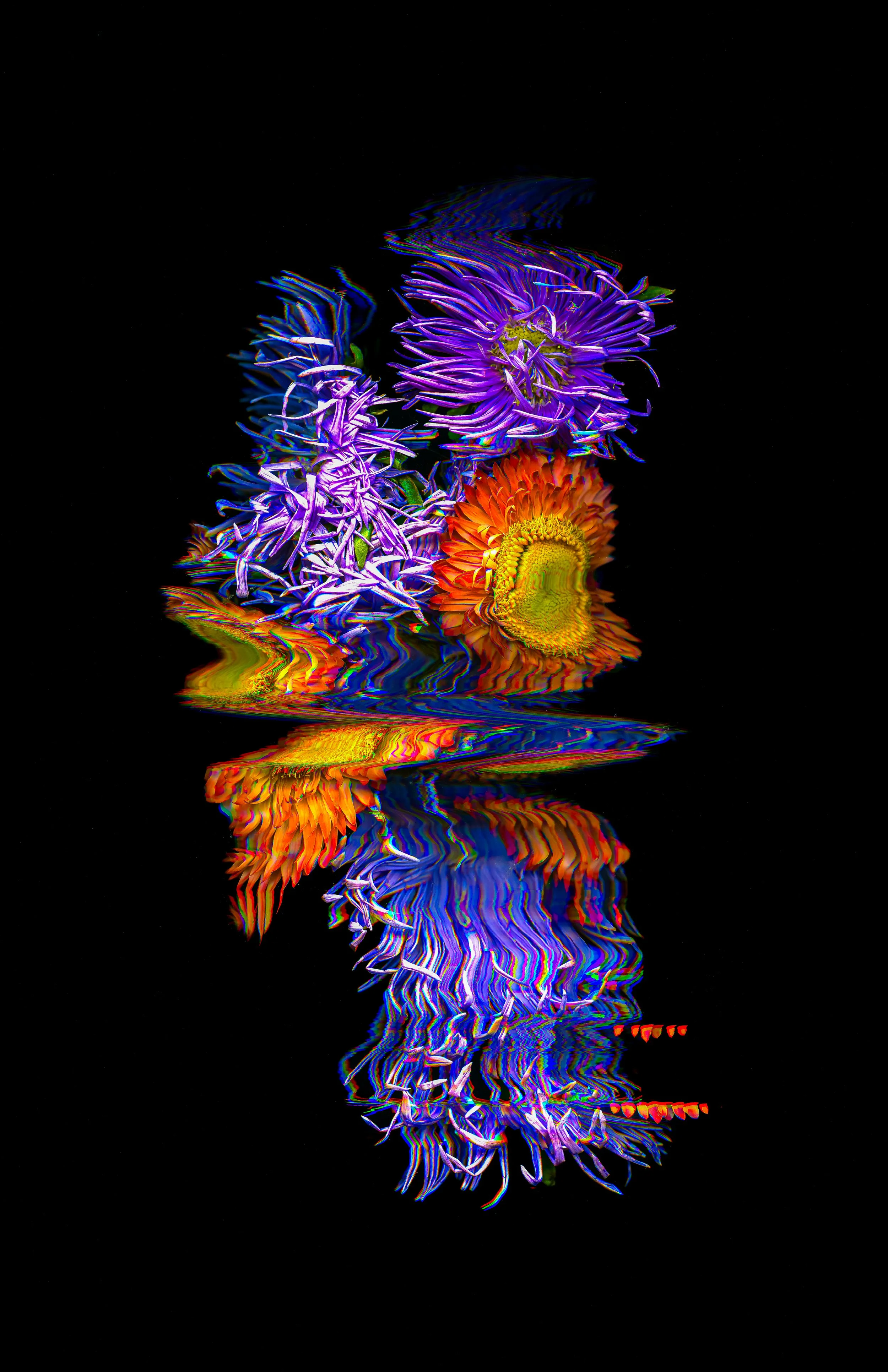 ARMS_Metallic Inkjet Print_11x17_2024_Nathan_Fiske.jpg