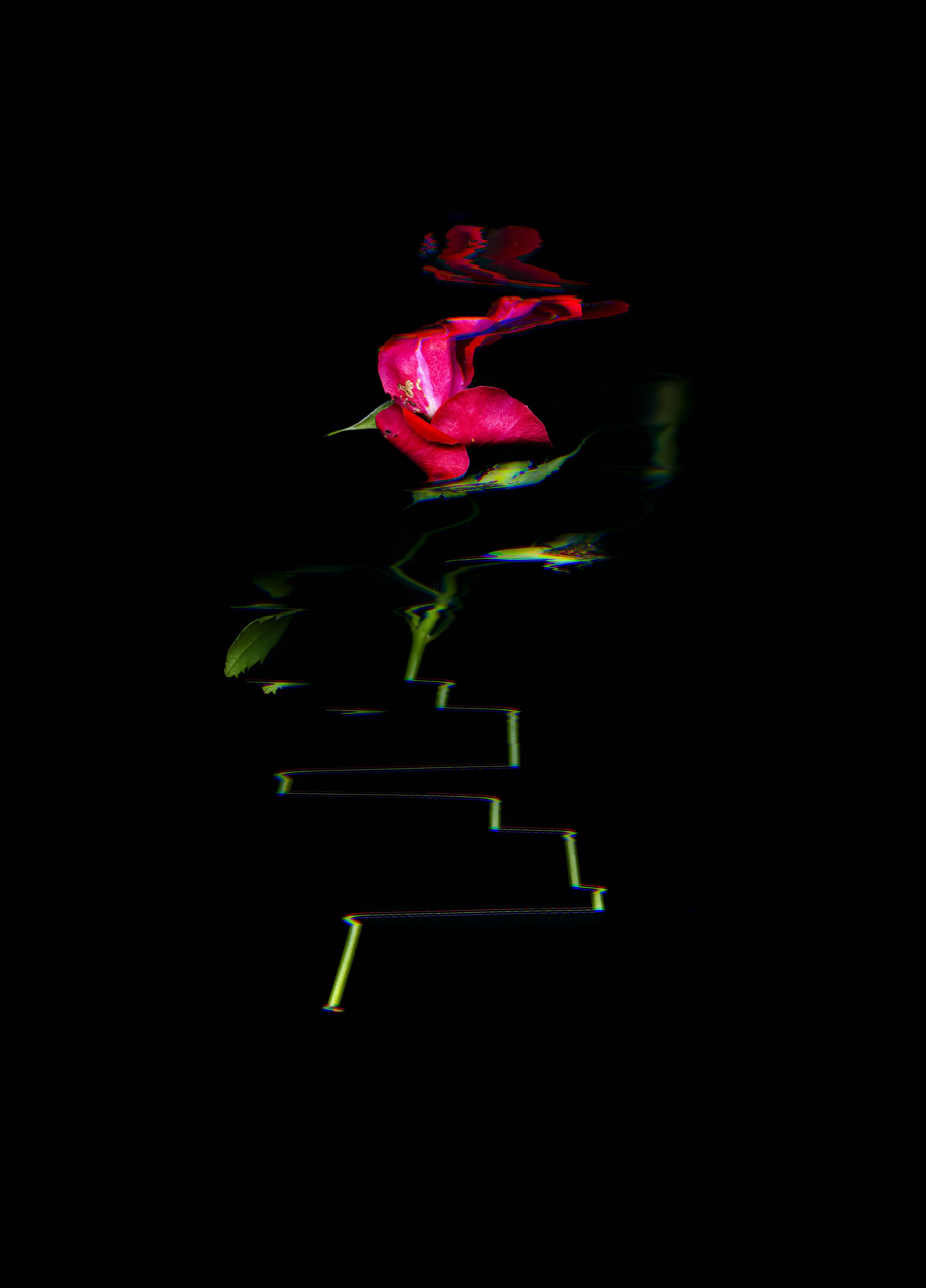 Falling-2021Fullsize-7.jpg