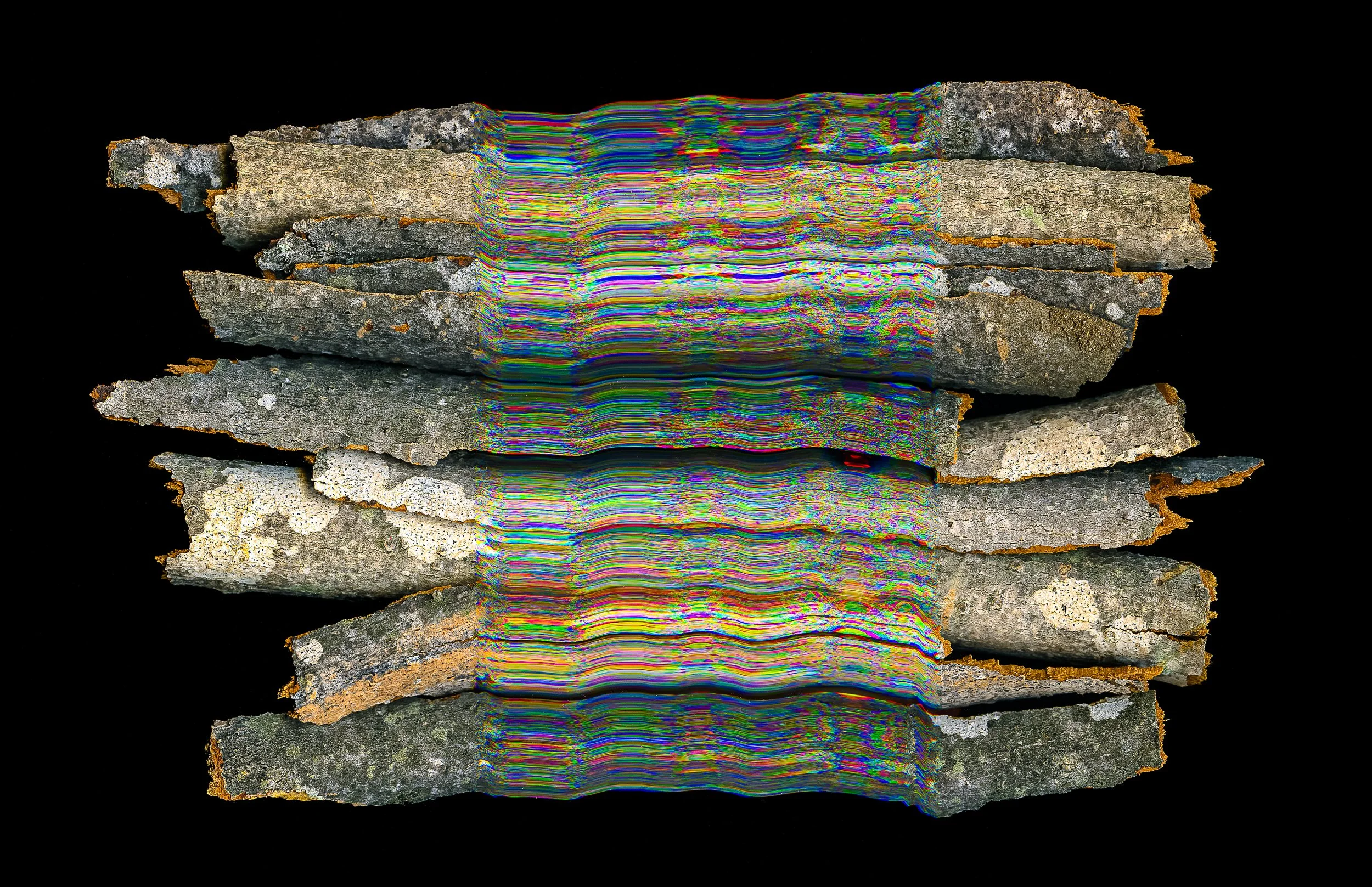 Bark_Metallic Inkjet Print_11x17_2024_Nathan_Fiske.jpg