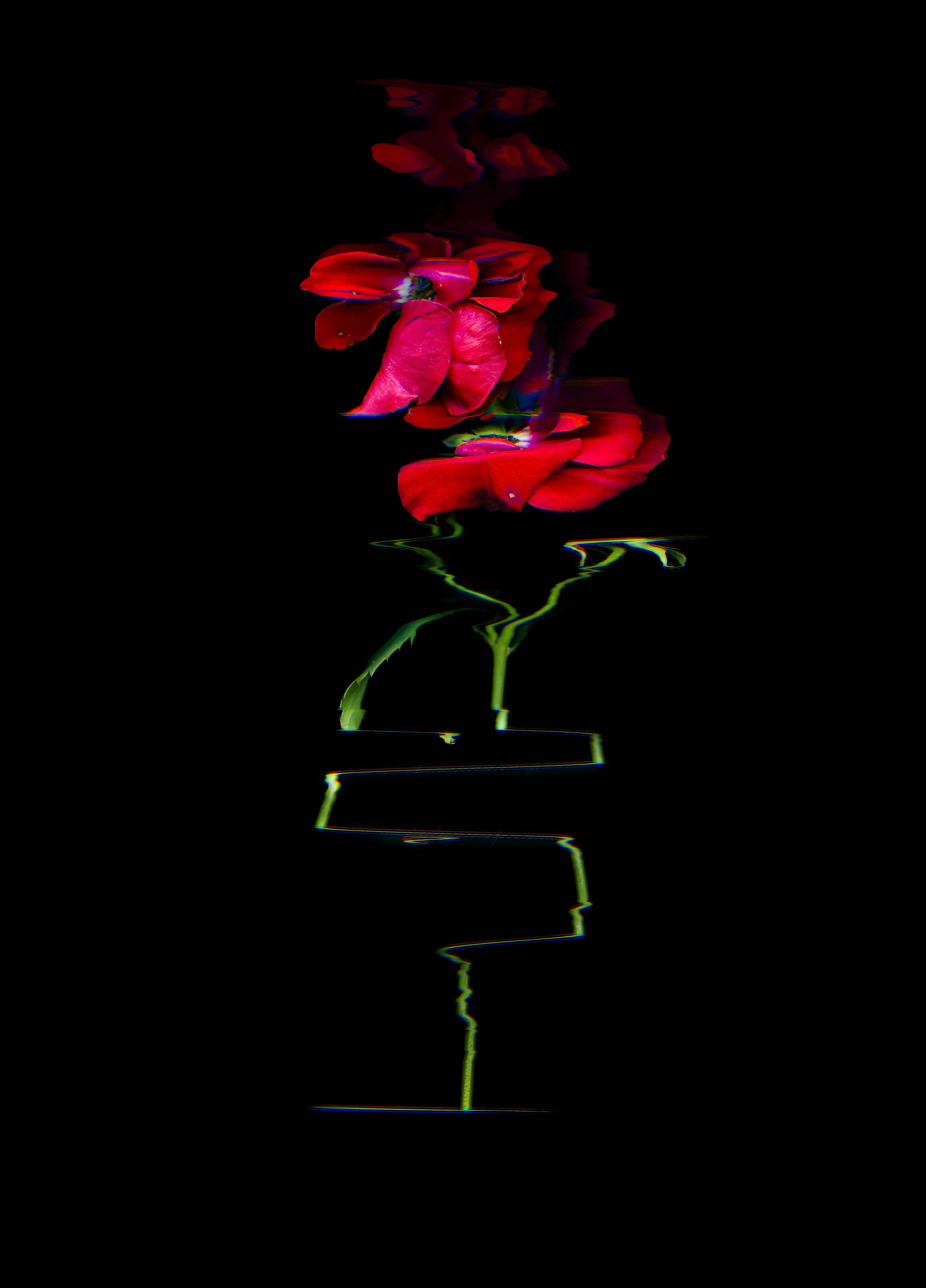 Falling-2021Fullsize-4.jpg