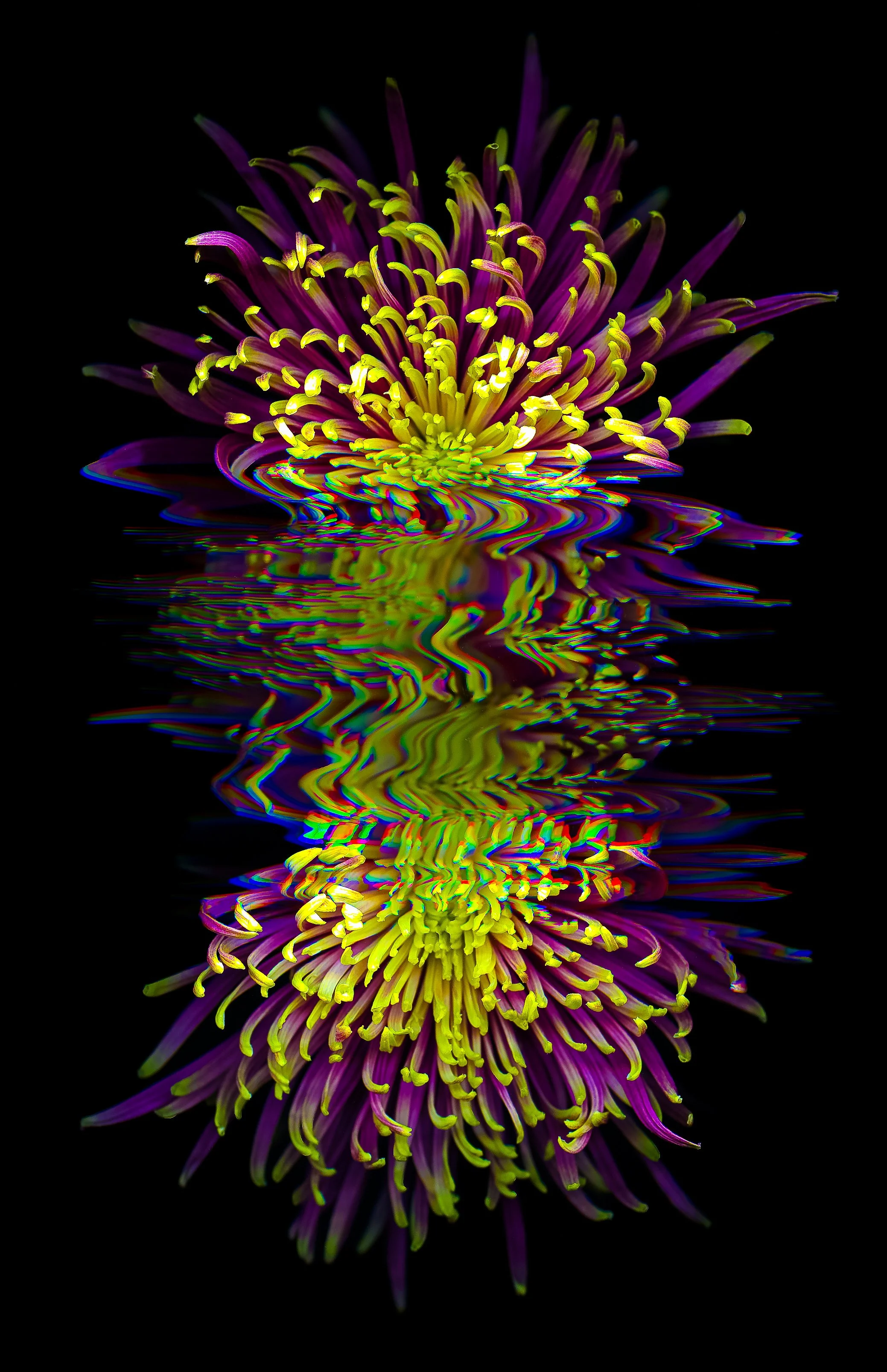 YP_Metallic Inkjet Print_11x17_2024_Nathan_Fiske.jpg