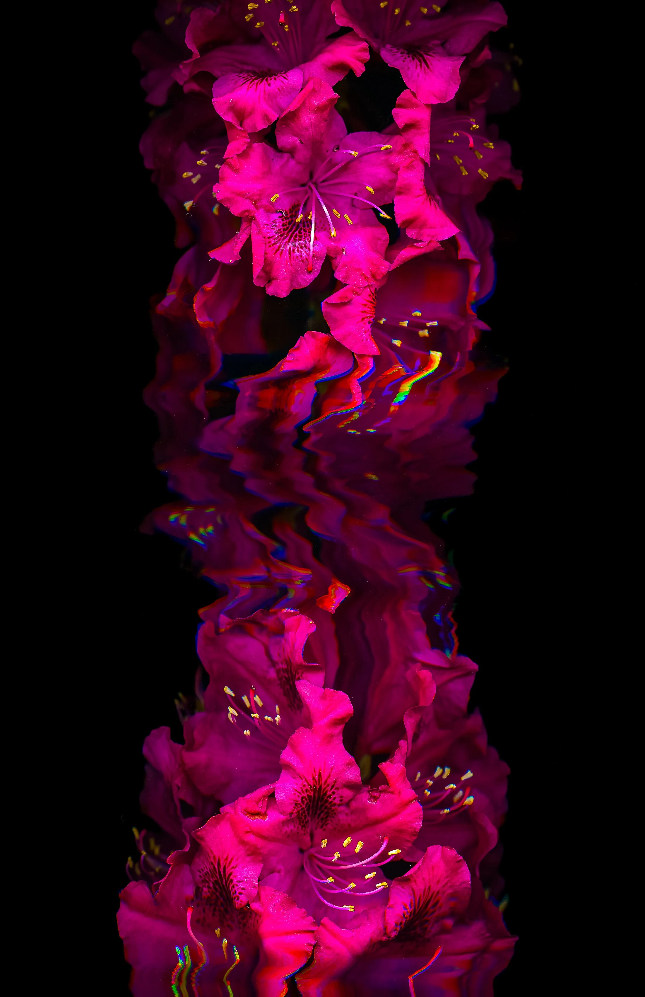 Flow_Metallic Inkjet Print_11x17_2024_Nathan_Fiske.jpg