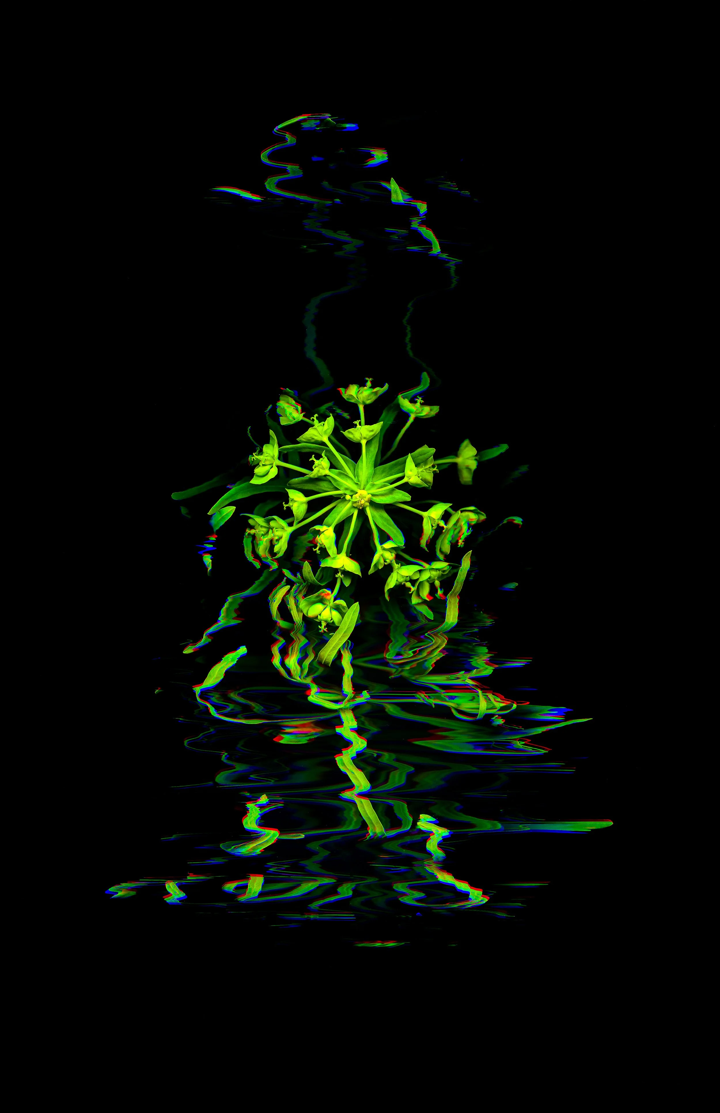 Nervous2_Metallic Inkjet Print_11x17_2024_Nathan_Fiske.jpg