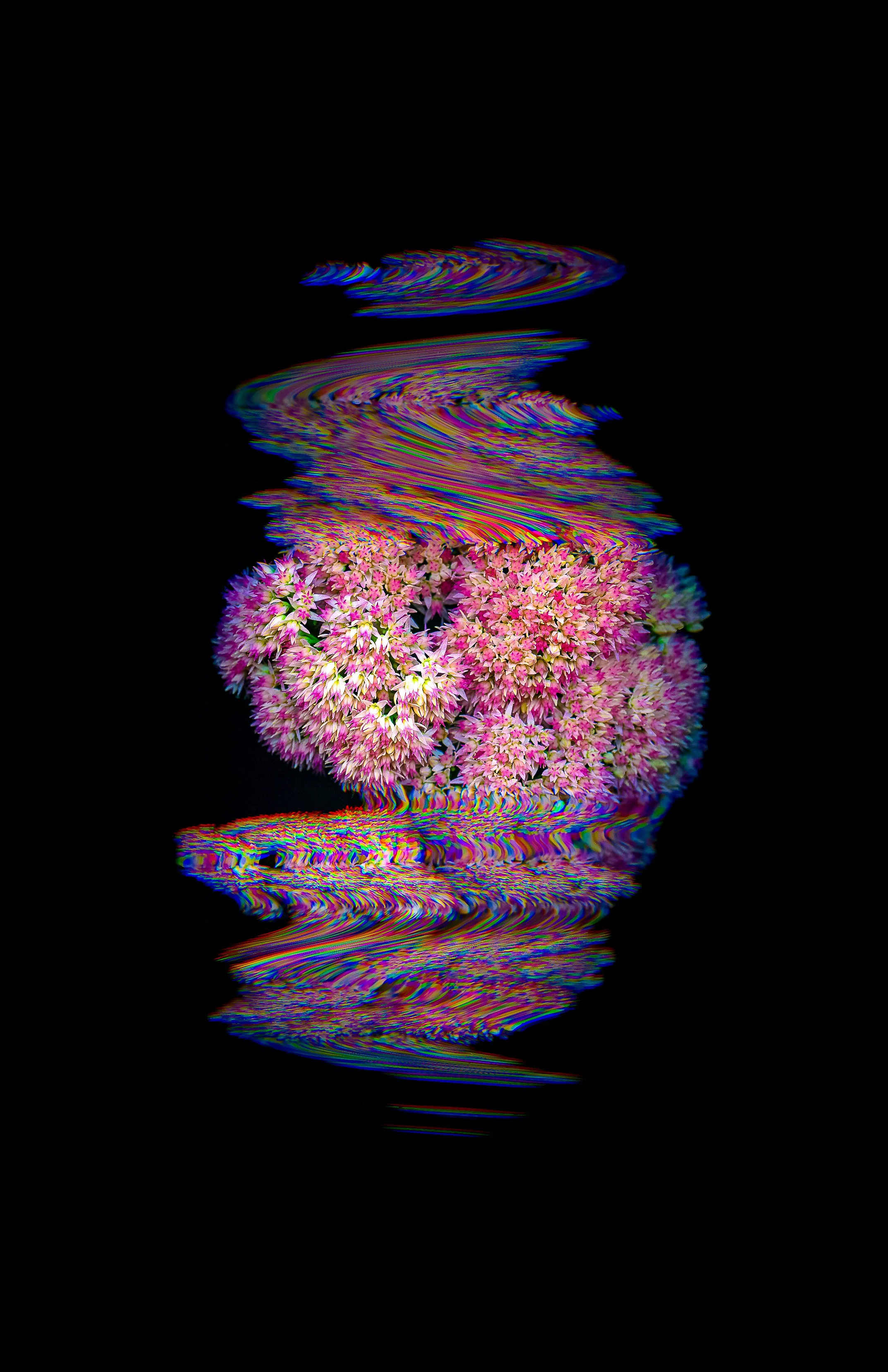 Smear_Metallic Inkjet Print_11x17_2024_Nathan_Fiske.jpg