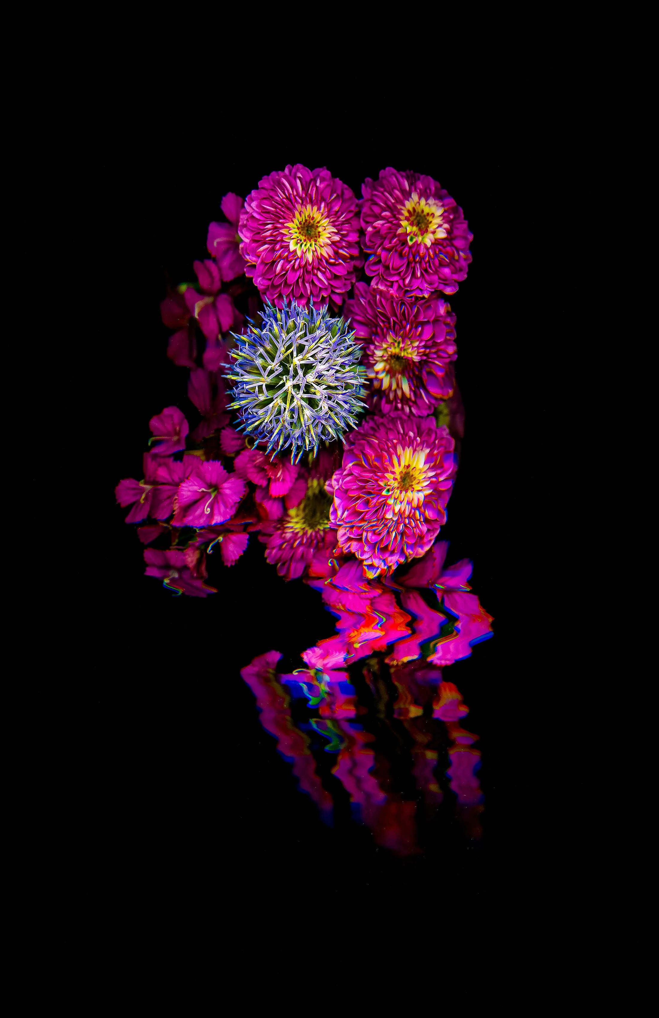 Poison_Metallic Inkjet Print_11x17_2024_Nathan_Fiske.jpg