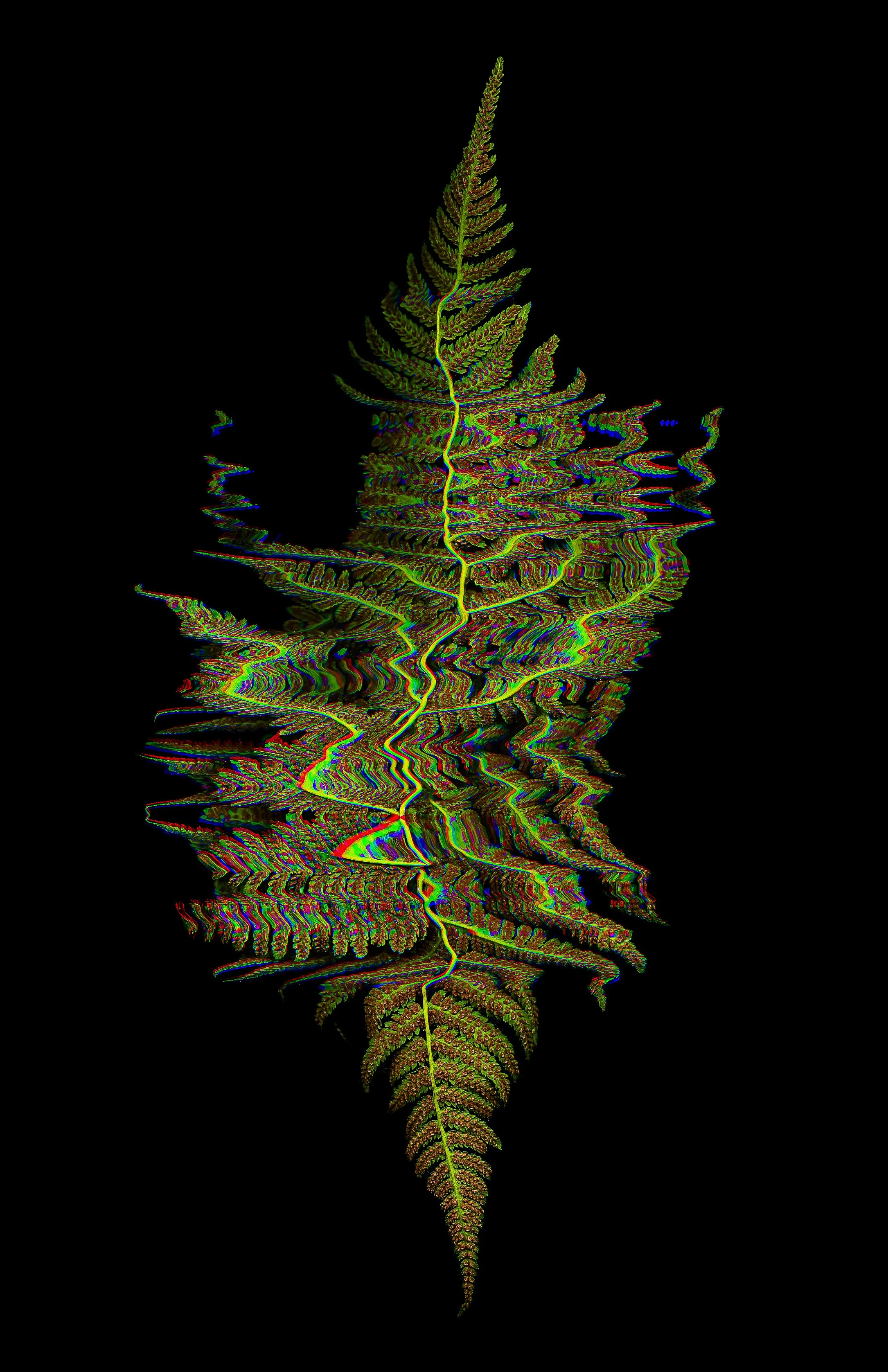 FERN_3_Metallic Inkjet Print_11x17_2024_Nathan_Fiske.jpg