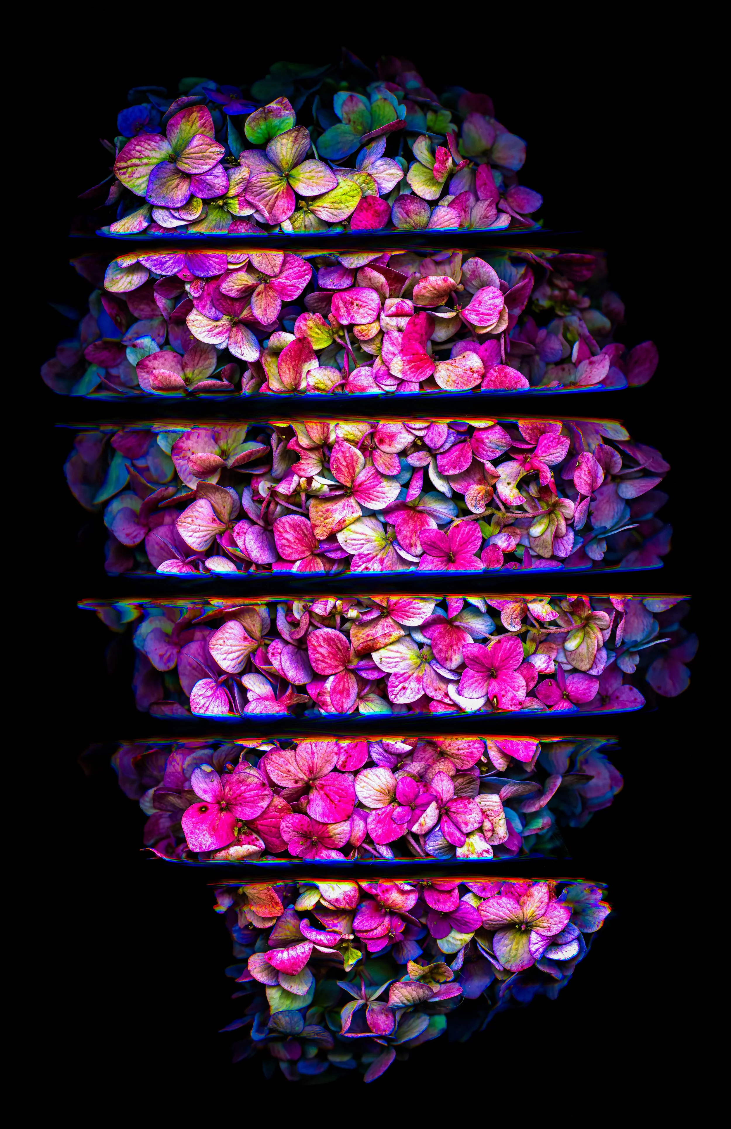 Pieces_Metallic Inkjet Print_11x17_2024_Nathan_Fiske.jpg