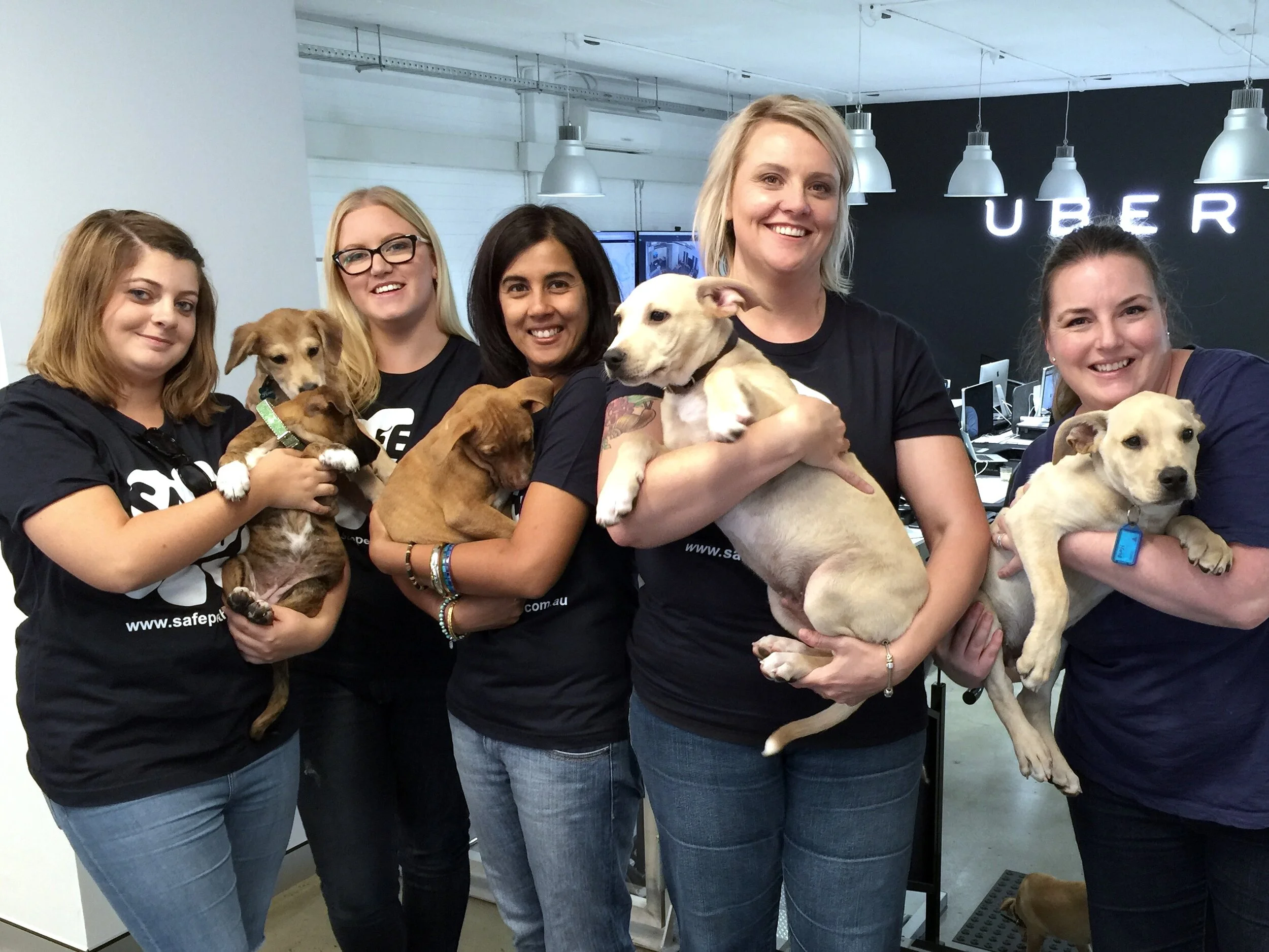 UberPUPPIES in Perth