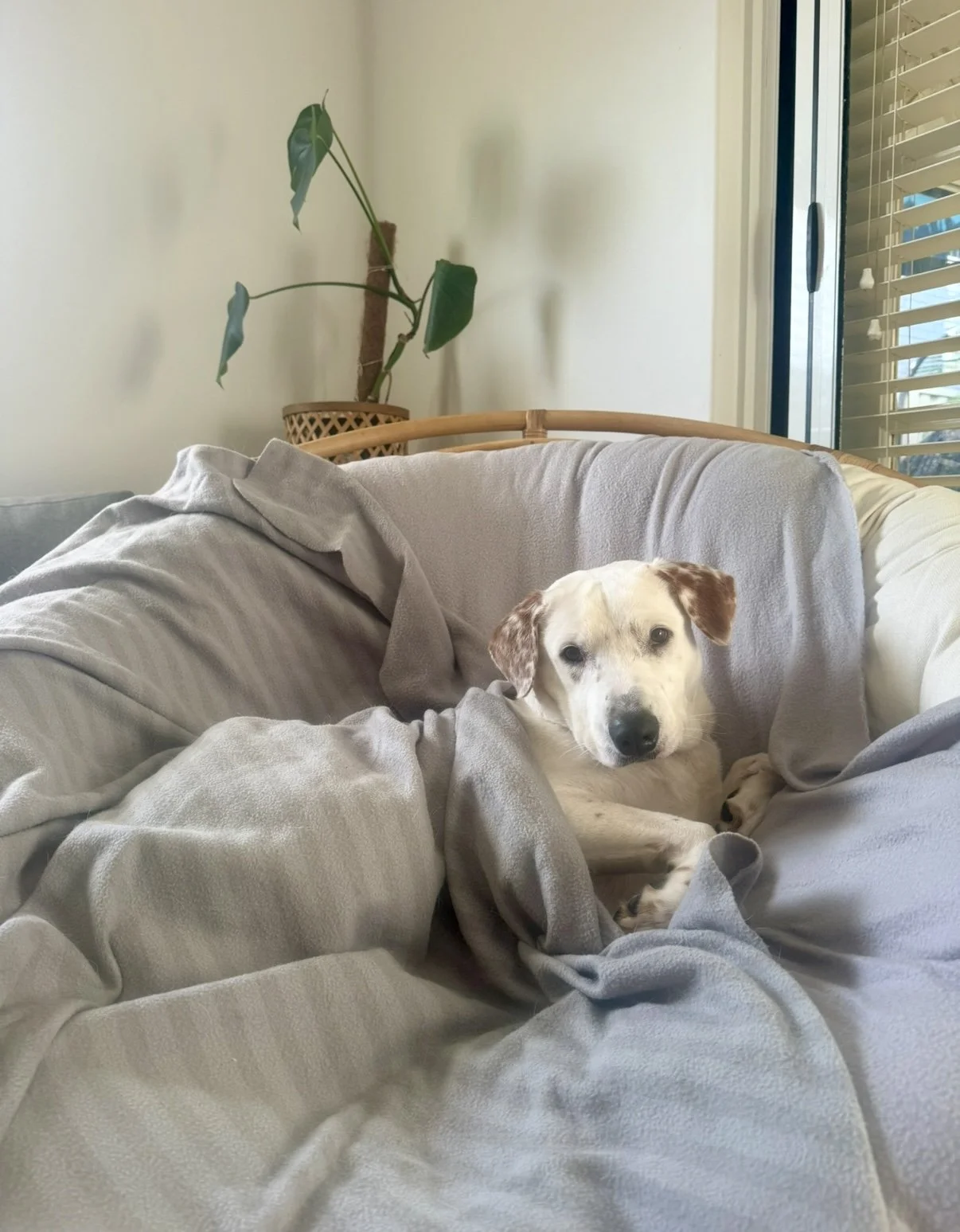 IMG_0997.jpeg