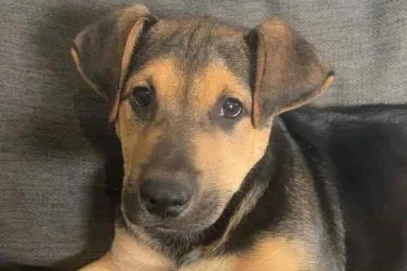 Buckley **On Trial With My New Family**