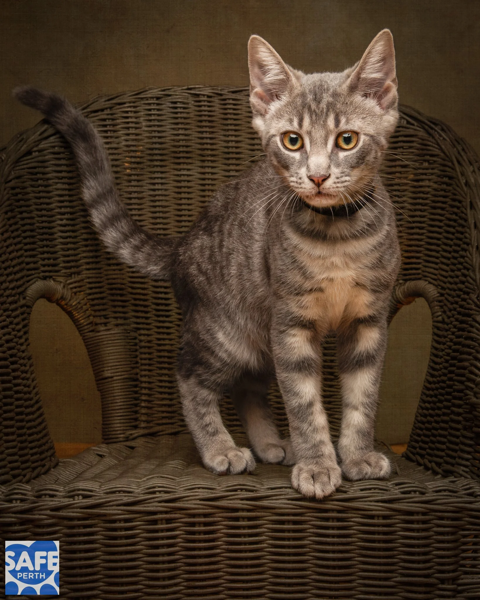 ONYX_Jane Earle Photography.jpg