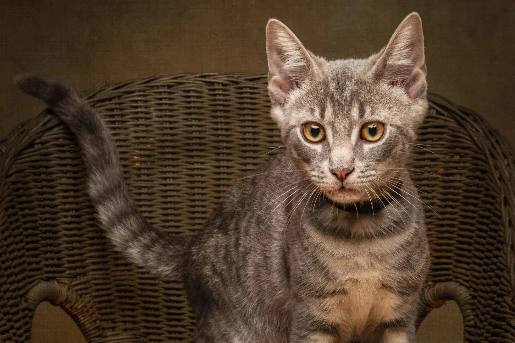 Onyx **On Trial With My New Family**