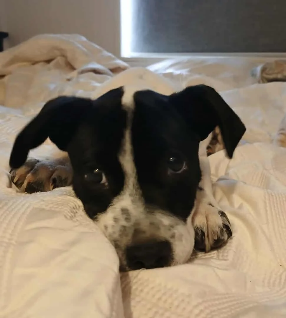 581993059_1382135873483395_1772303348199555701_n (1).jpg