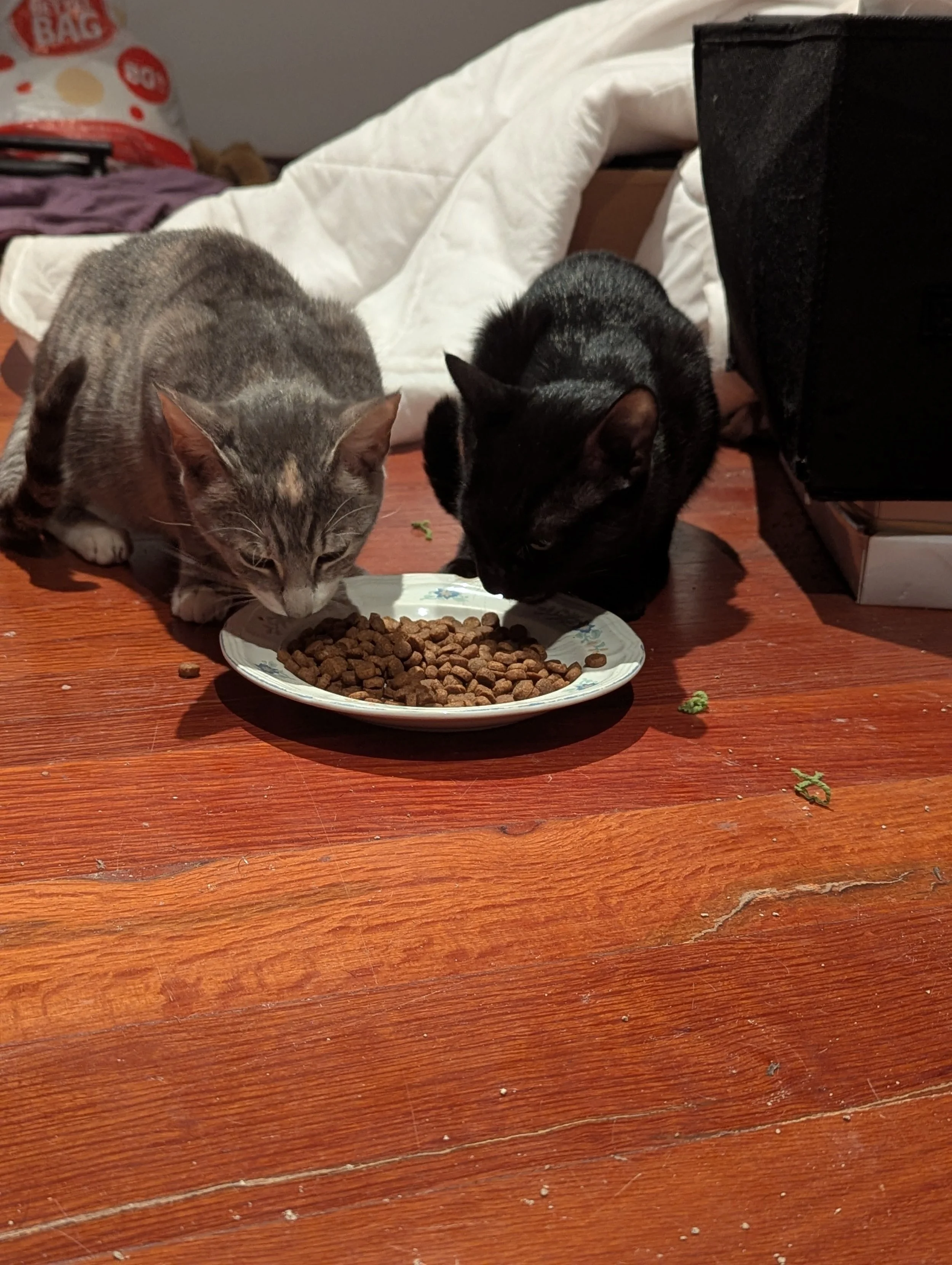 Pepper and Sabbath 3.jpg