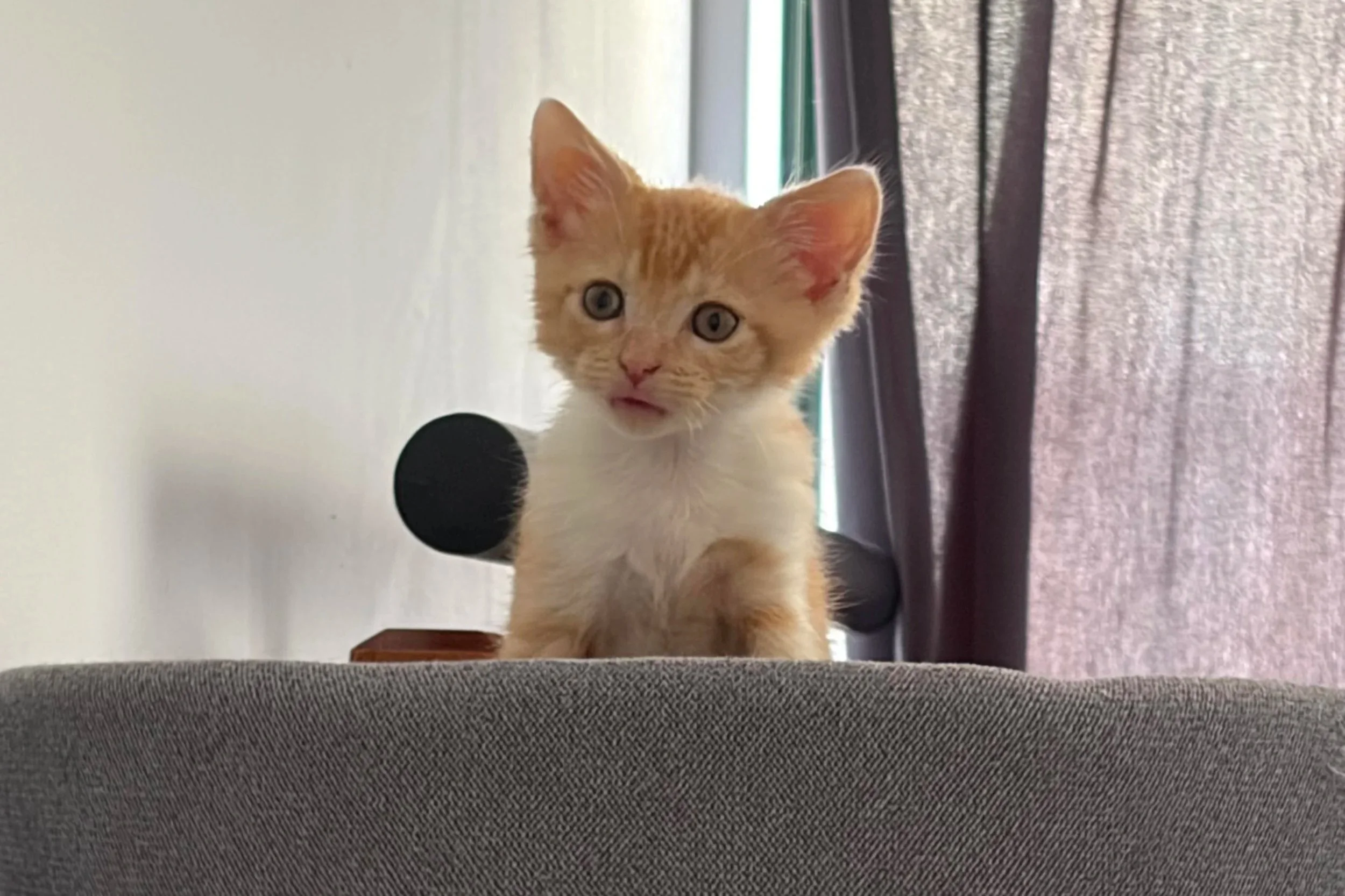 O'Malley **On Trial With My New Family**