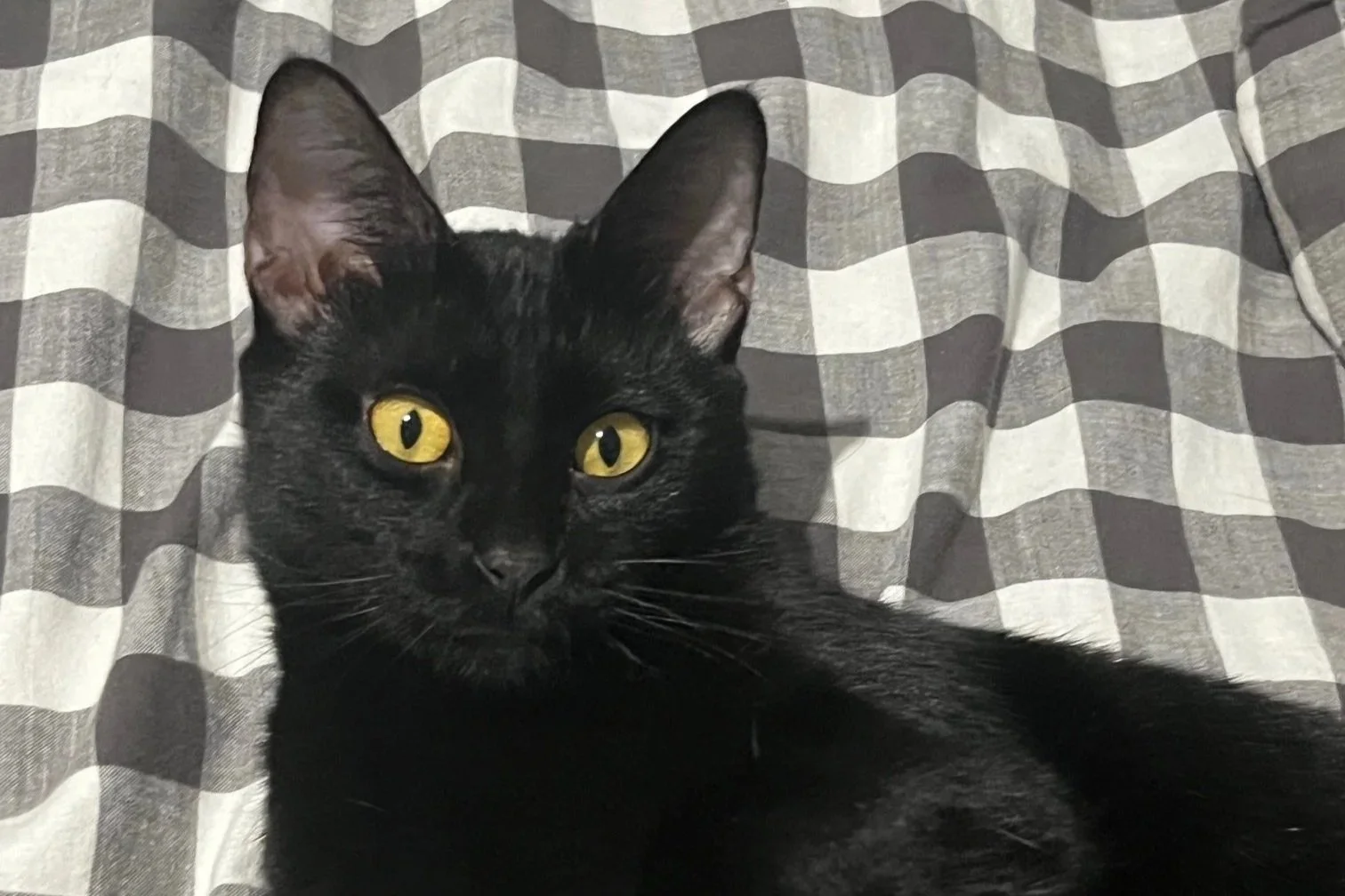 Sanura **Under 12 Months**