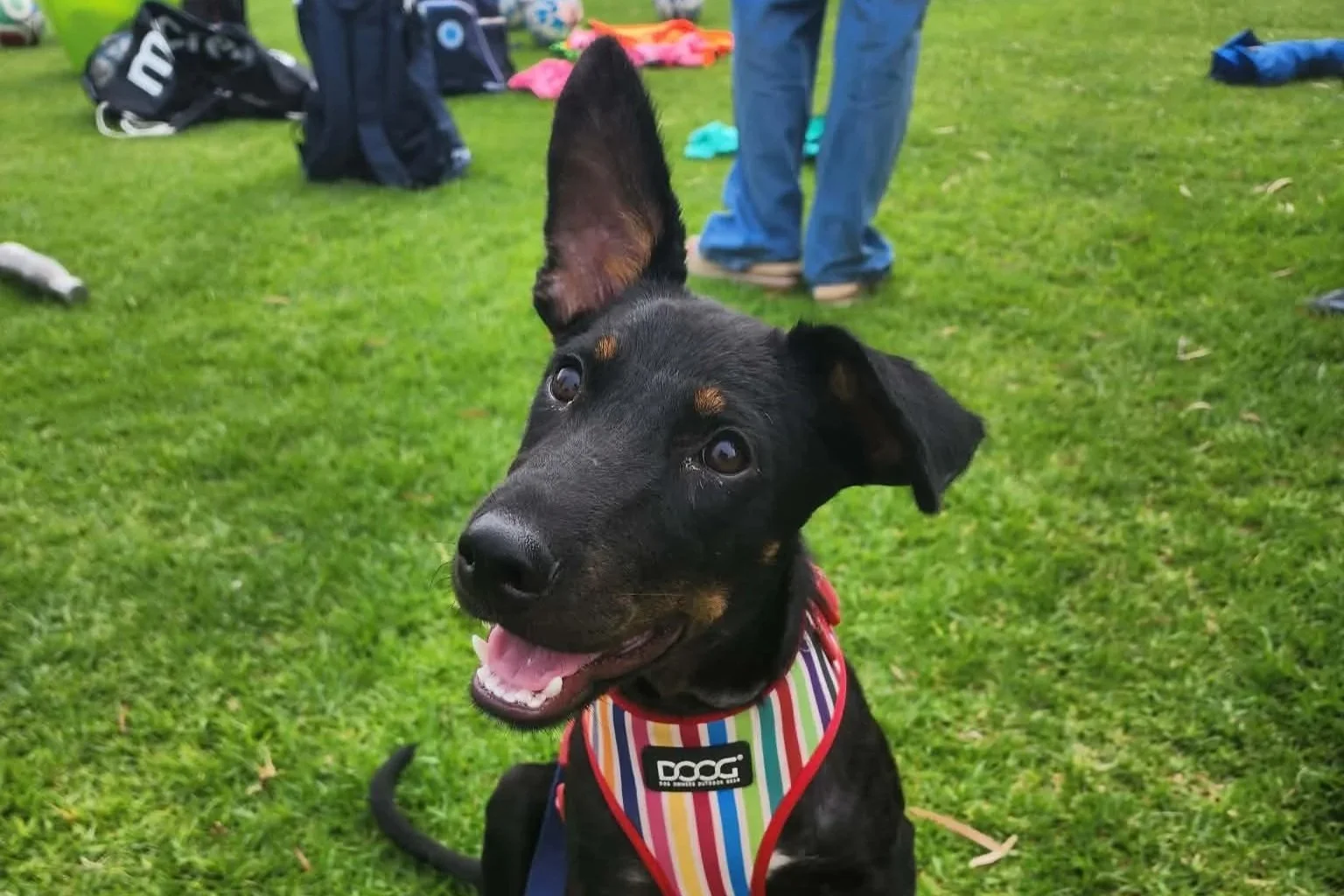 Olah **No more enquiries please**