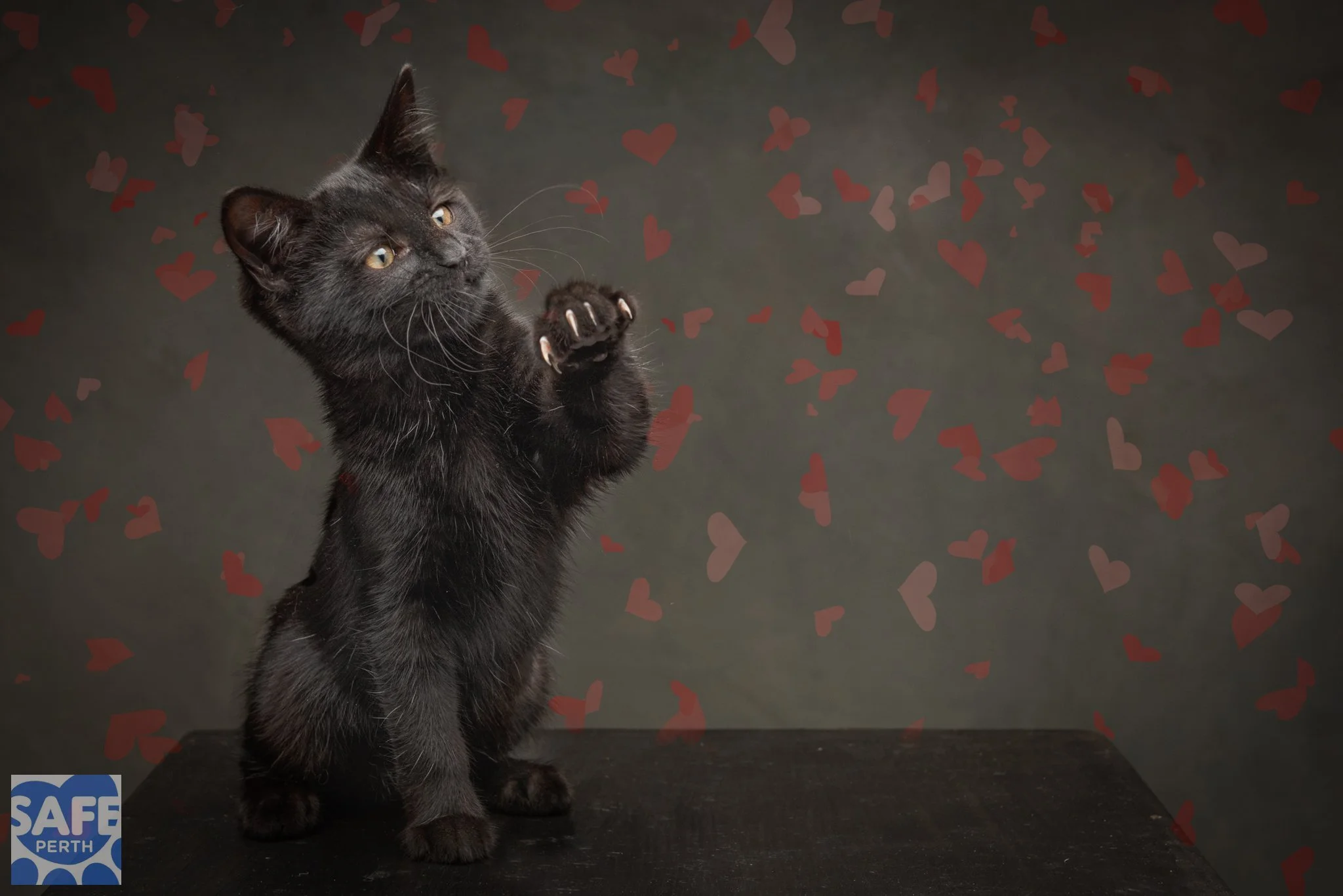 MARIE_Jane Earle Photography-3.jpg