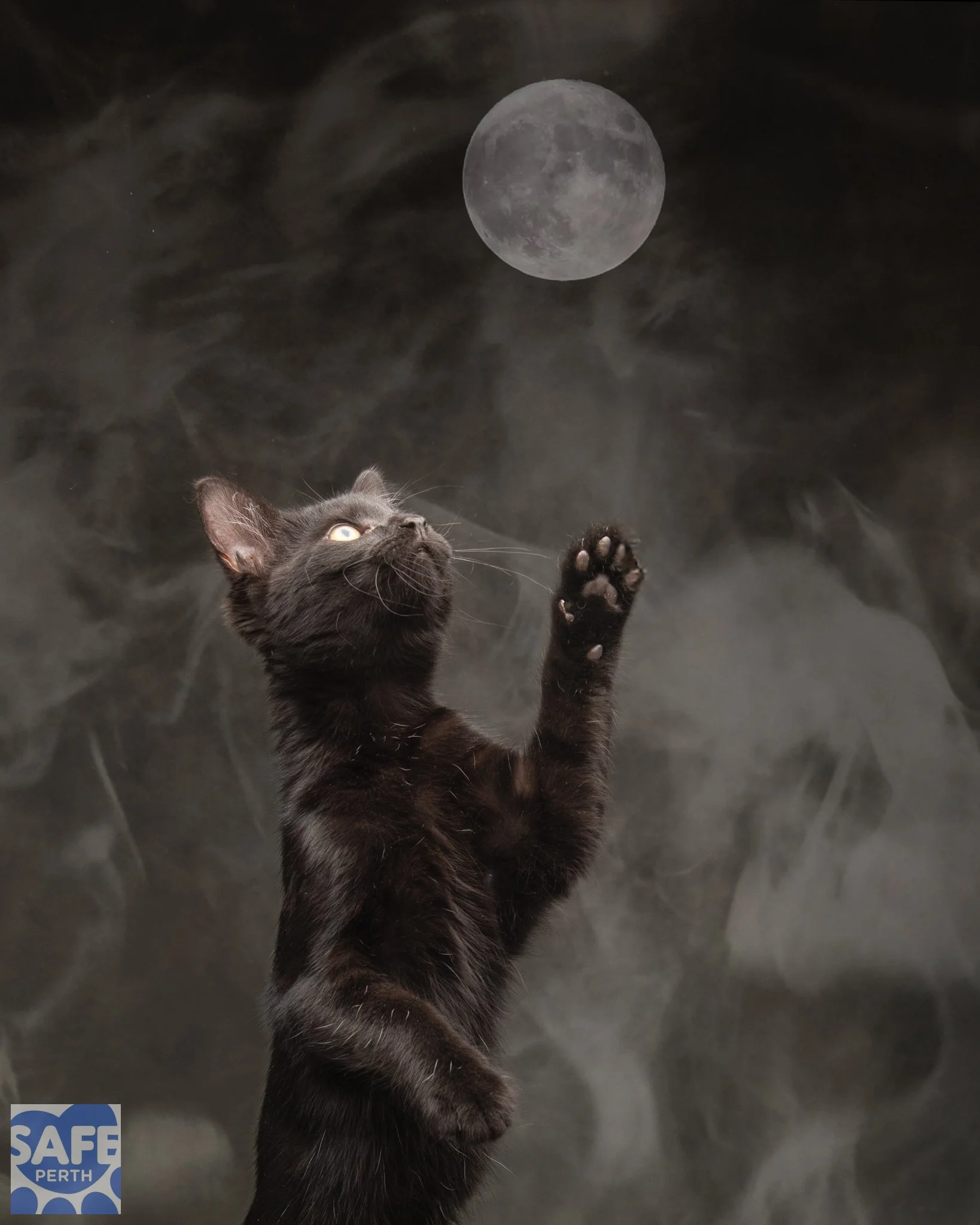 MARIE_Jane Earle Photography-2.jpg