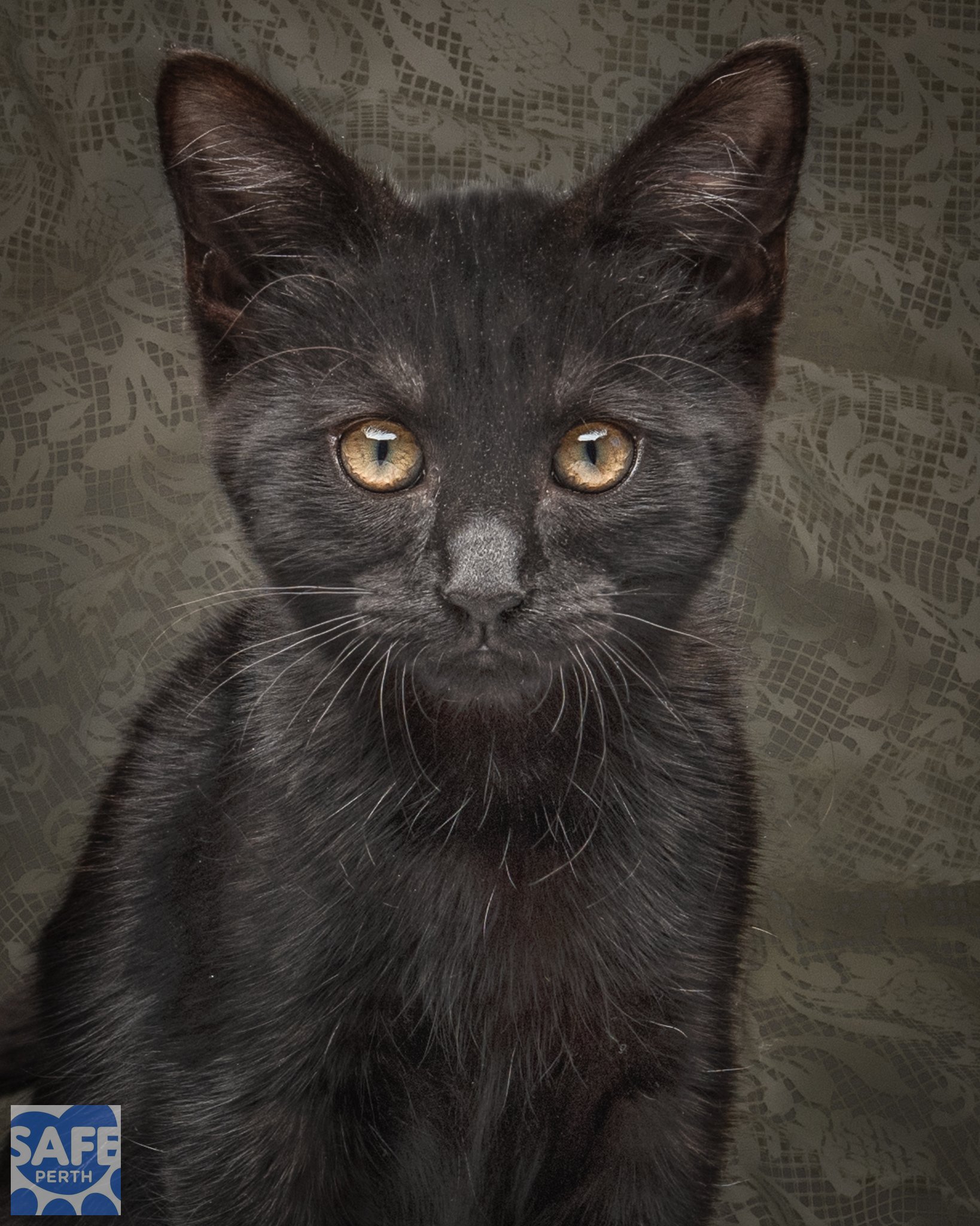 MARIE_Jane Earle Photography.jpg