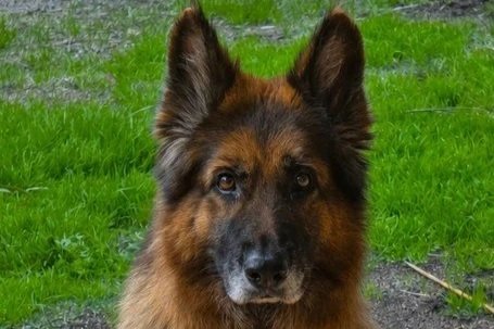 Zalli **No more enquiries please**