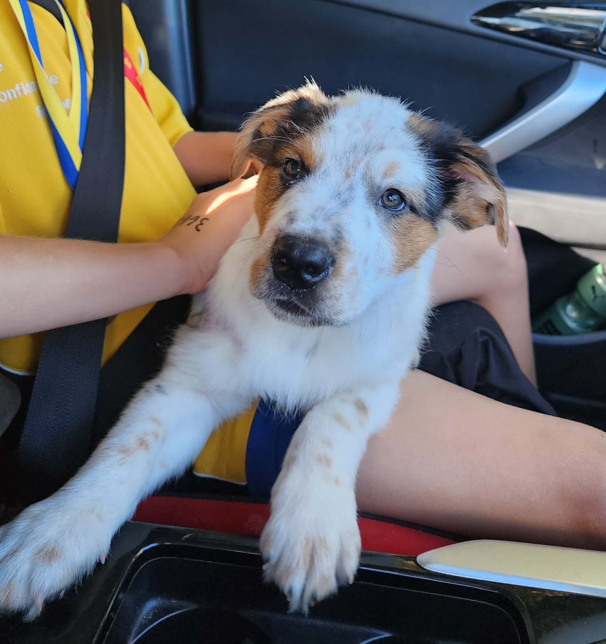 8fa68d88-54e6-4a57-9a17-bc9d8623cd90.jpg